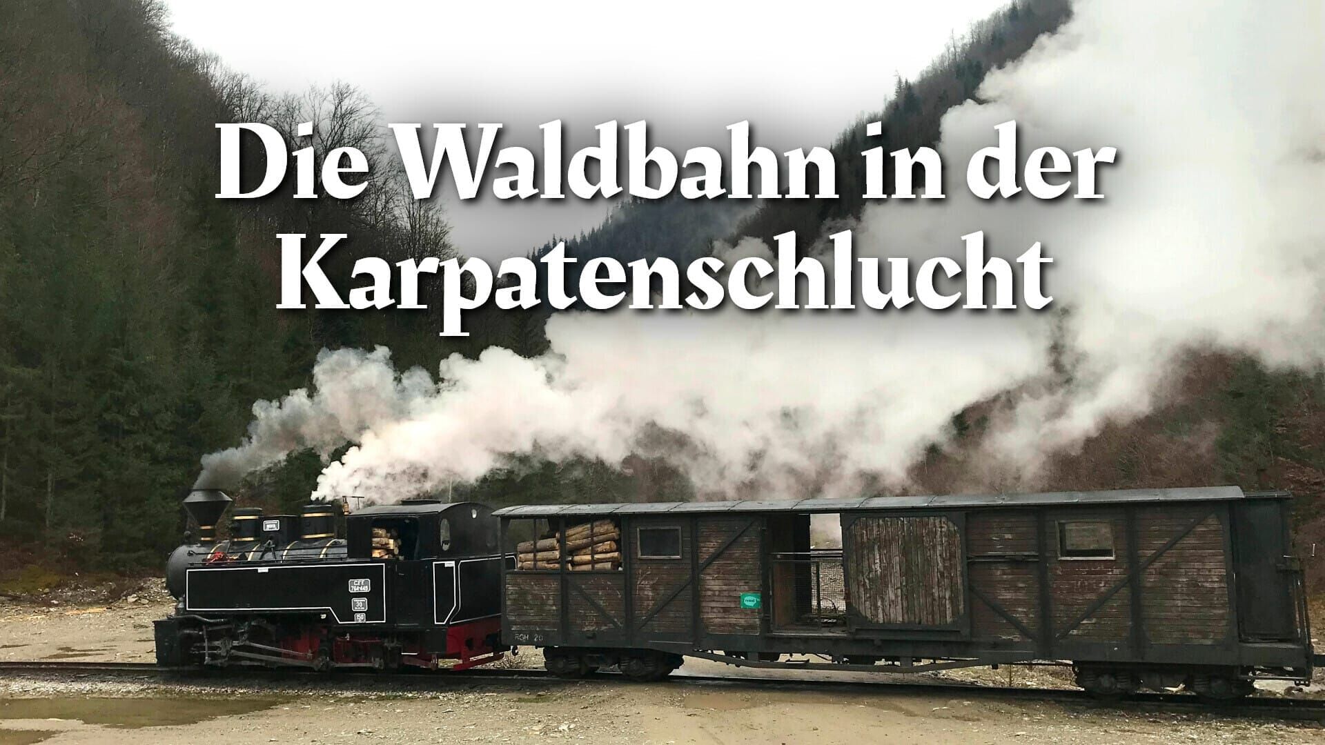 Die Waldbahn in der Karpatenschlucht