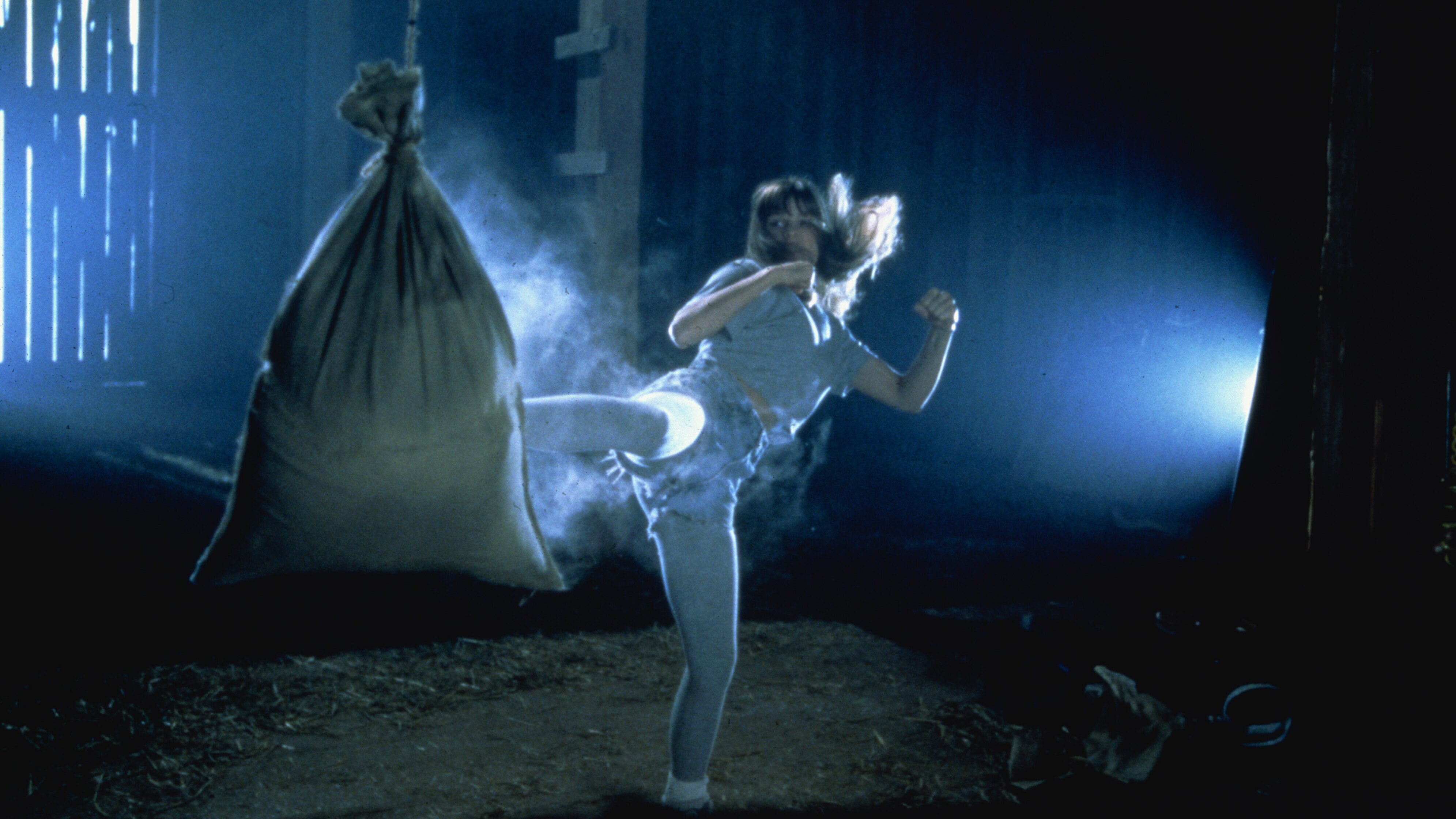 Karate Kid IV – Die nächste Generation