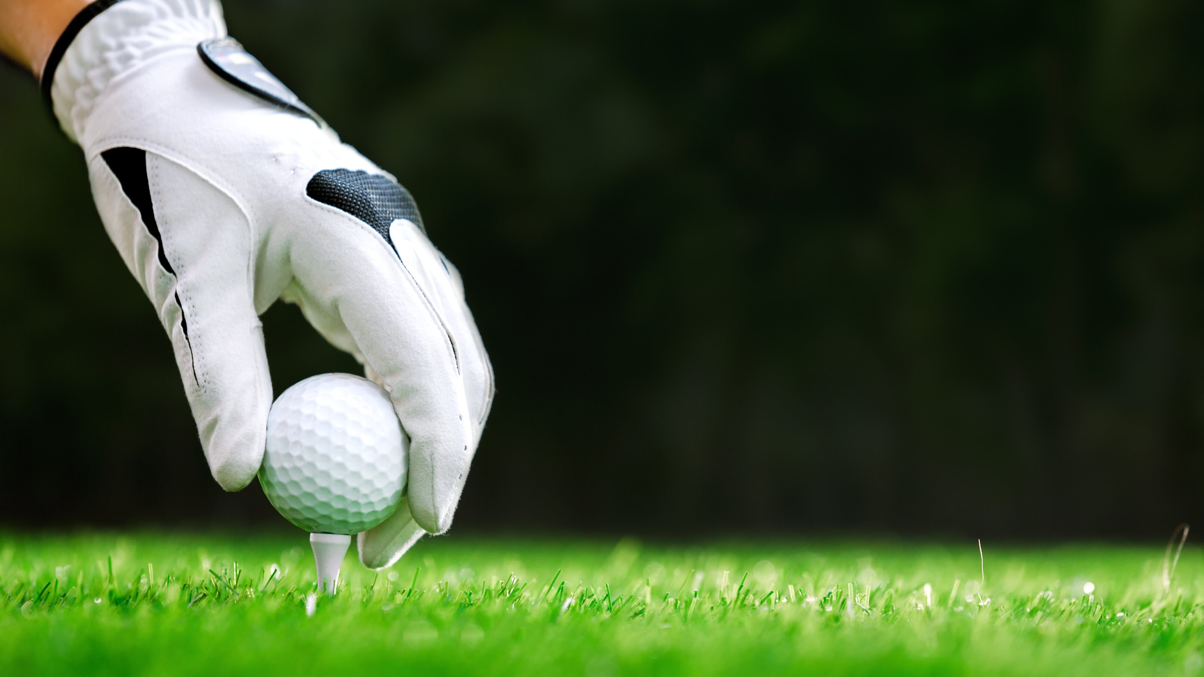 Discovery Golf