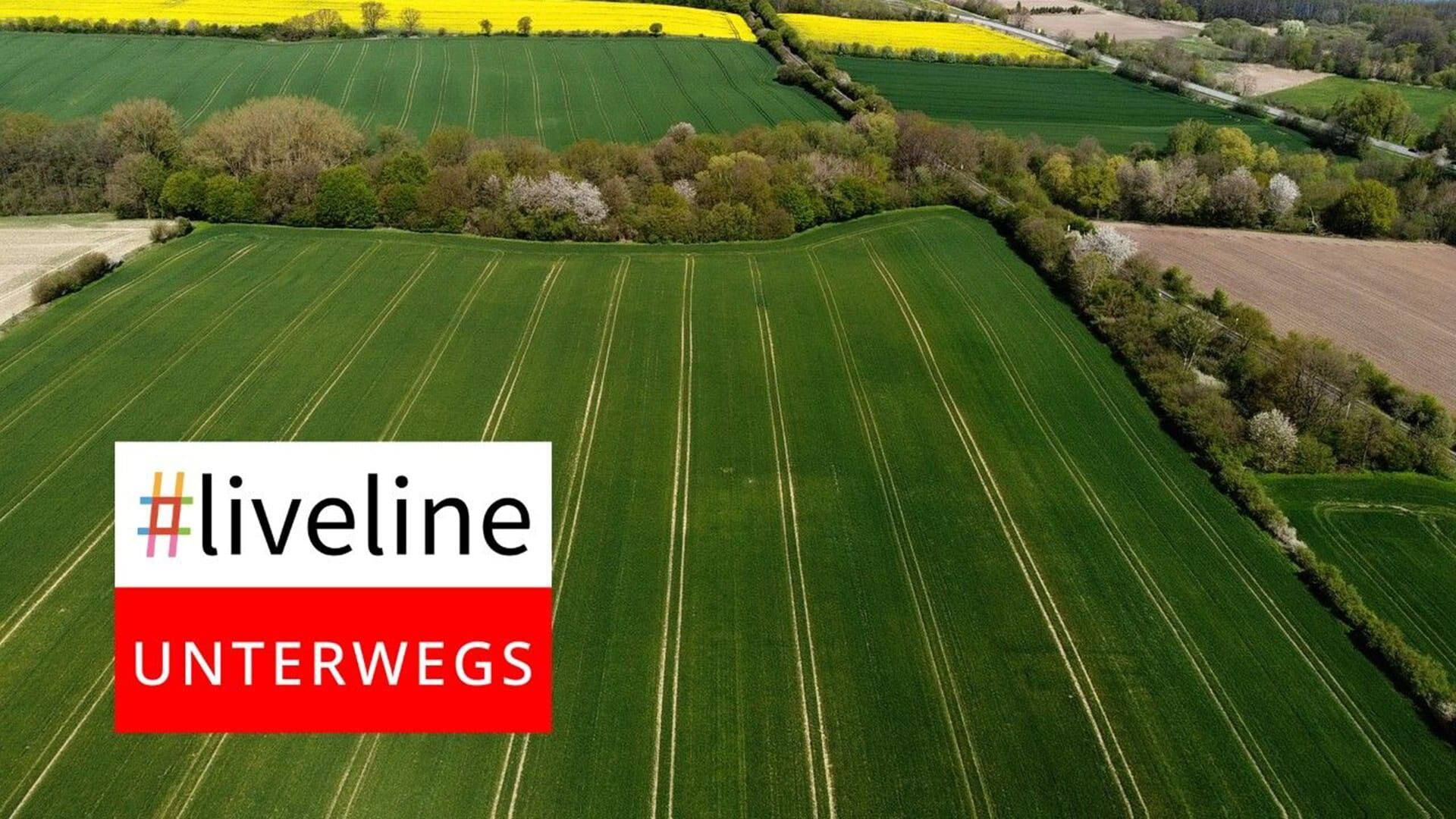 #liveline unterwegs