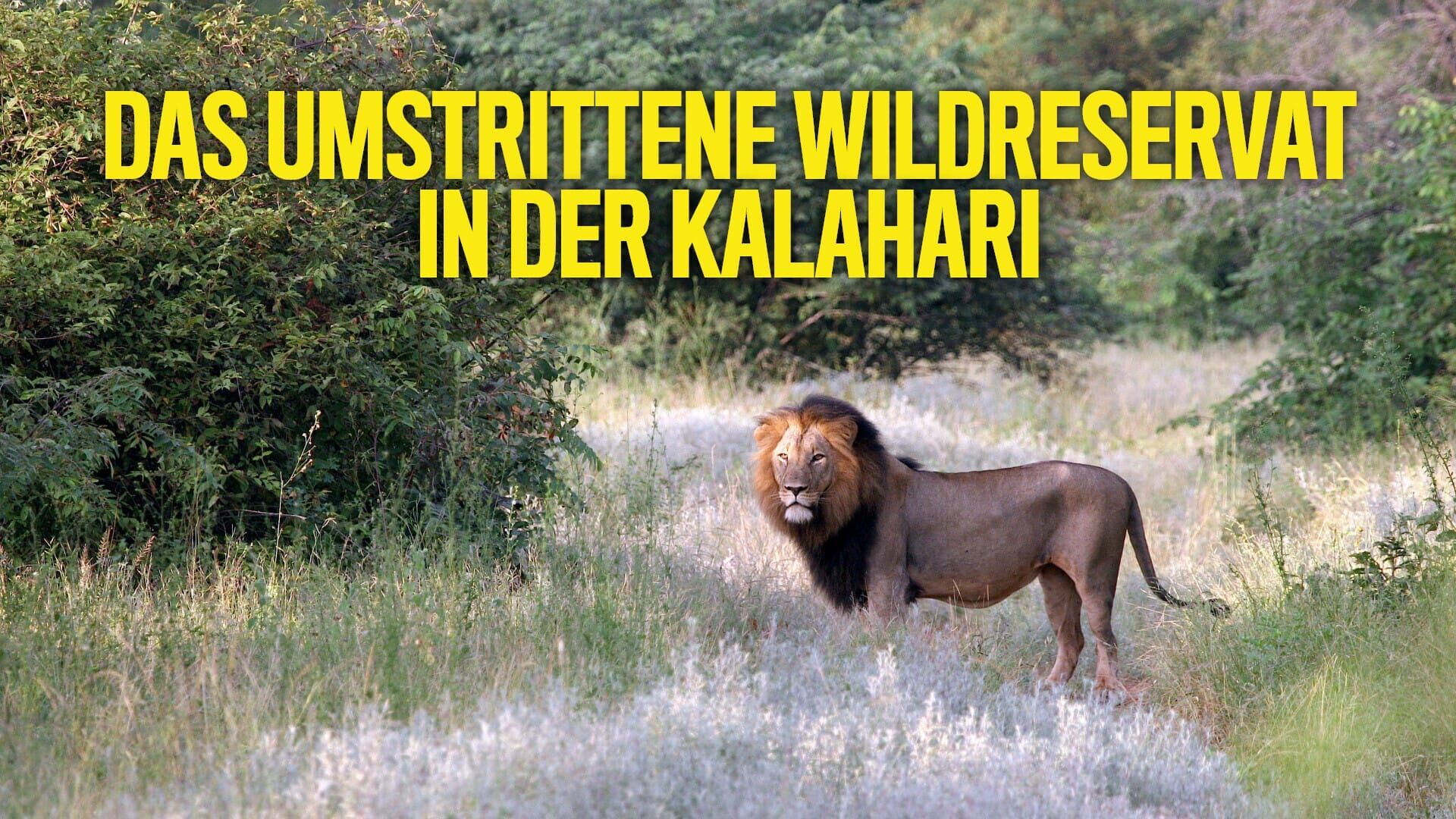 Das umstrittene Wildreservat in der Kalahari