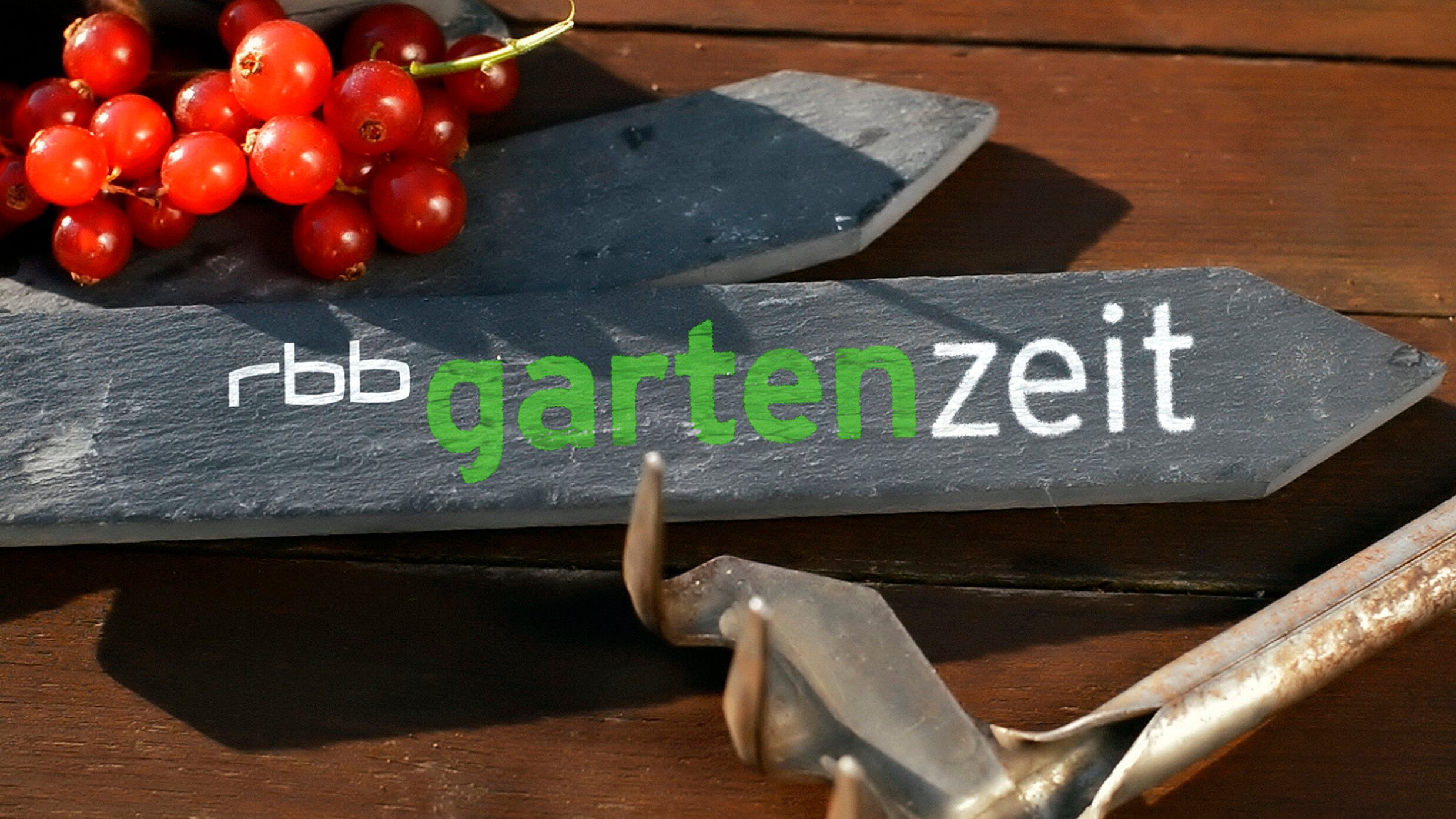 rbb Gartenzeit