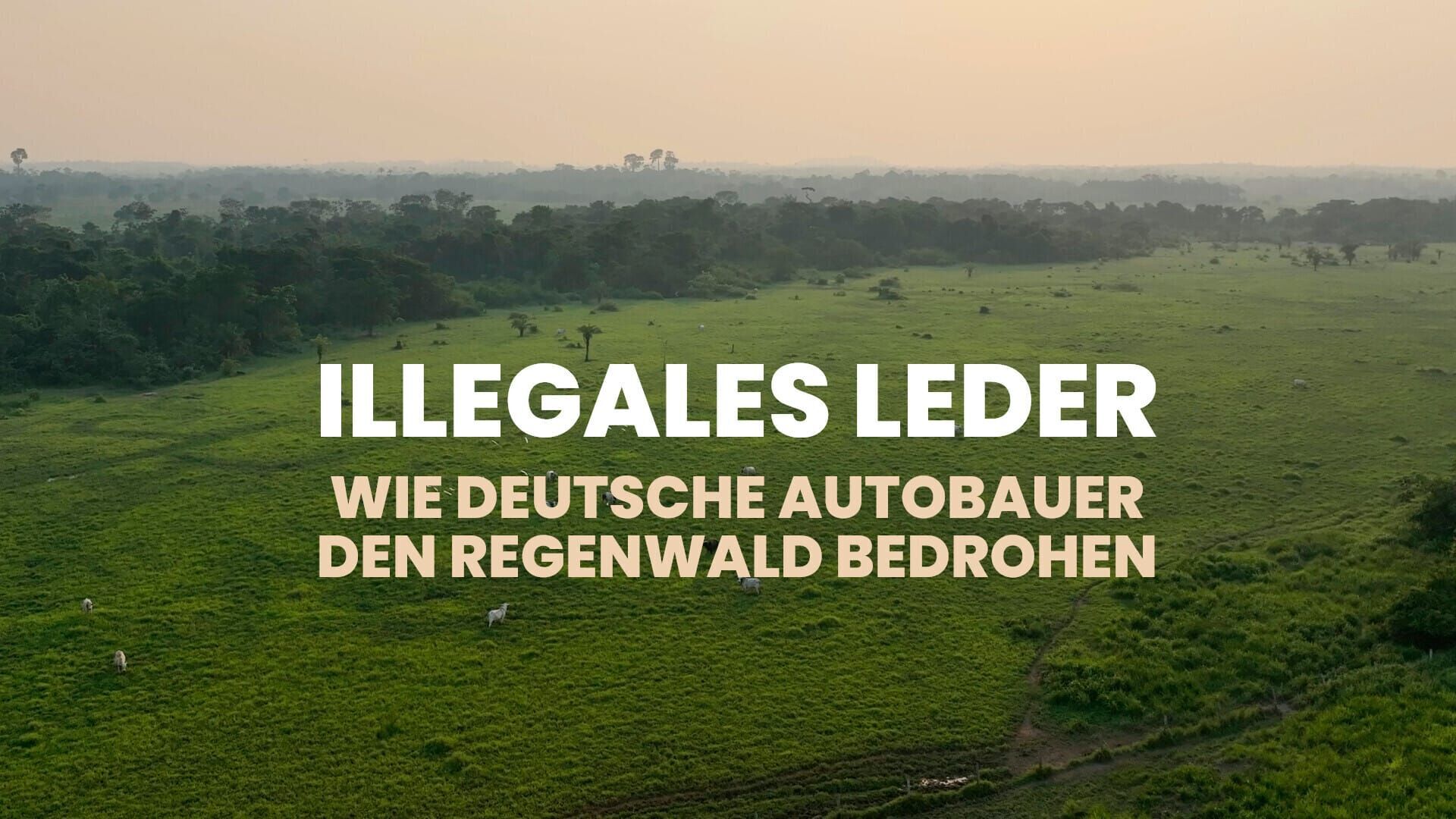Illegales Leder