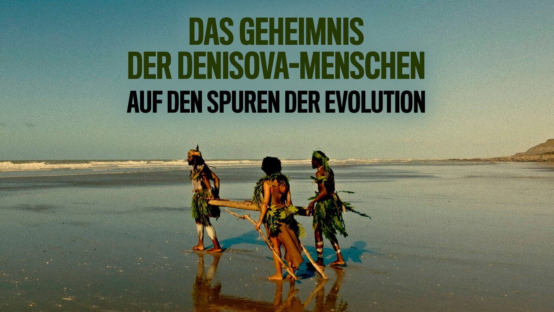 Das Geheimnis der Denisova-Menschen Auf den Spuren der Evolution