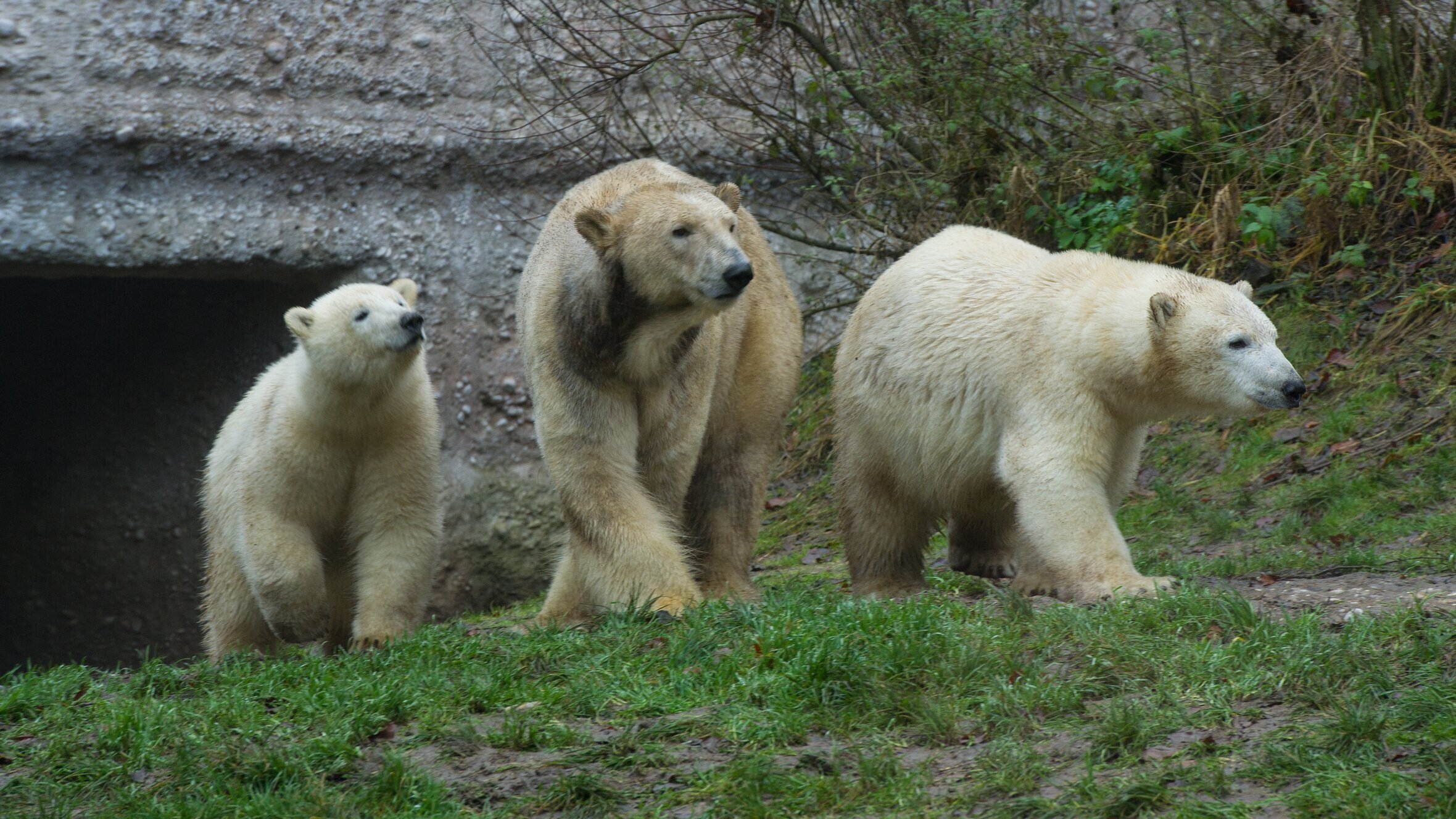 Neues aus dem Münchner Tierpark Hellabrunn