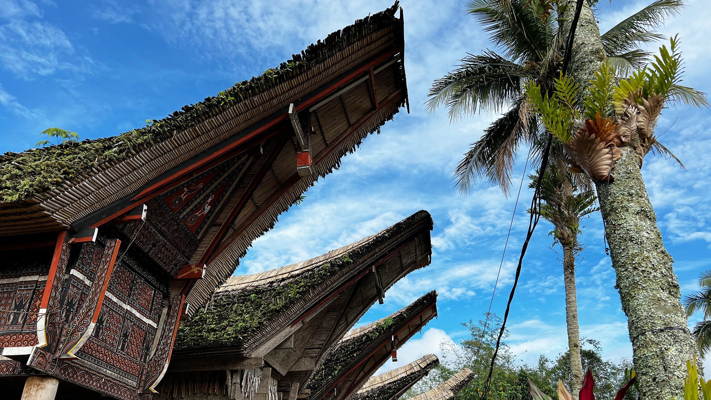 Sulawesi – Totenkult und Tradition