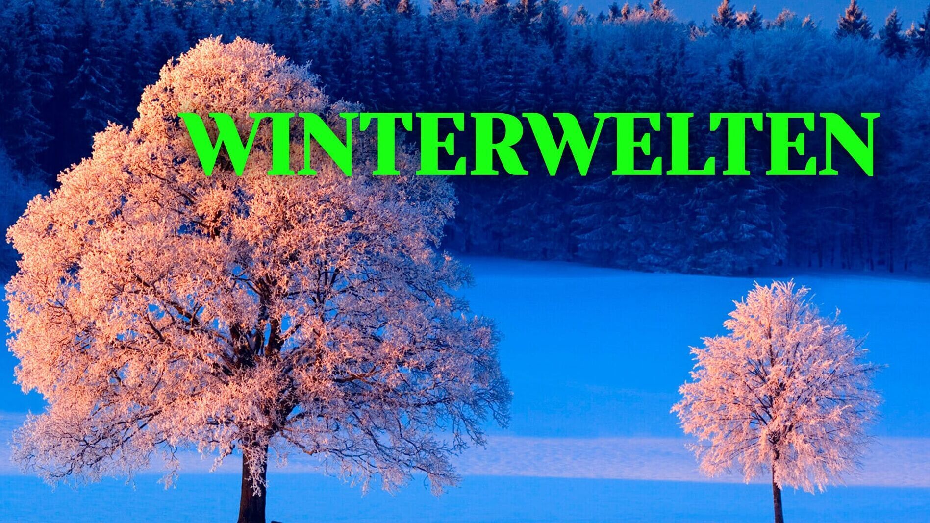 Winterwelten