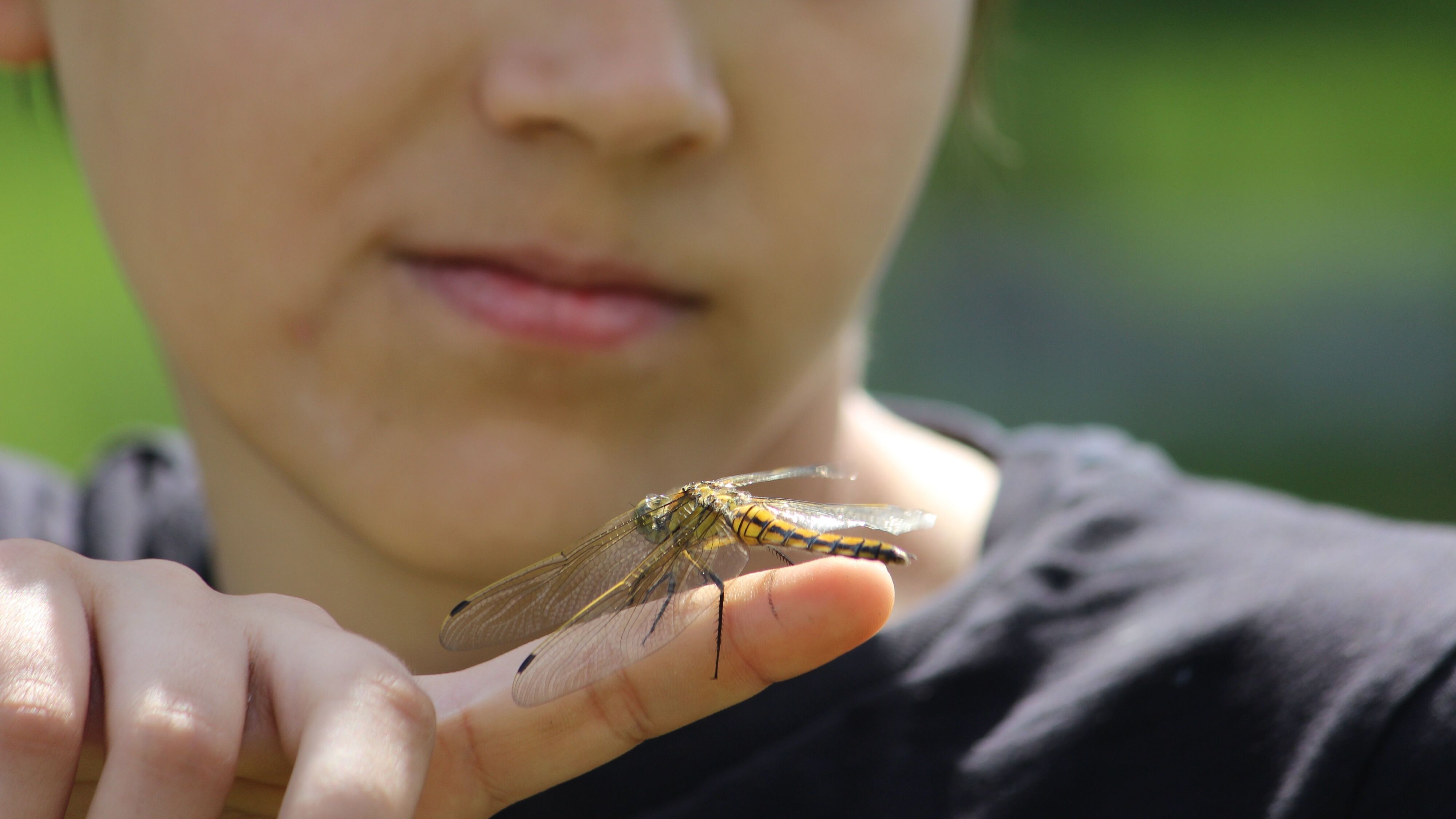 Pepe und die Welt der Insekten