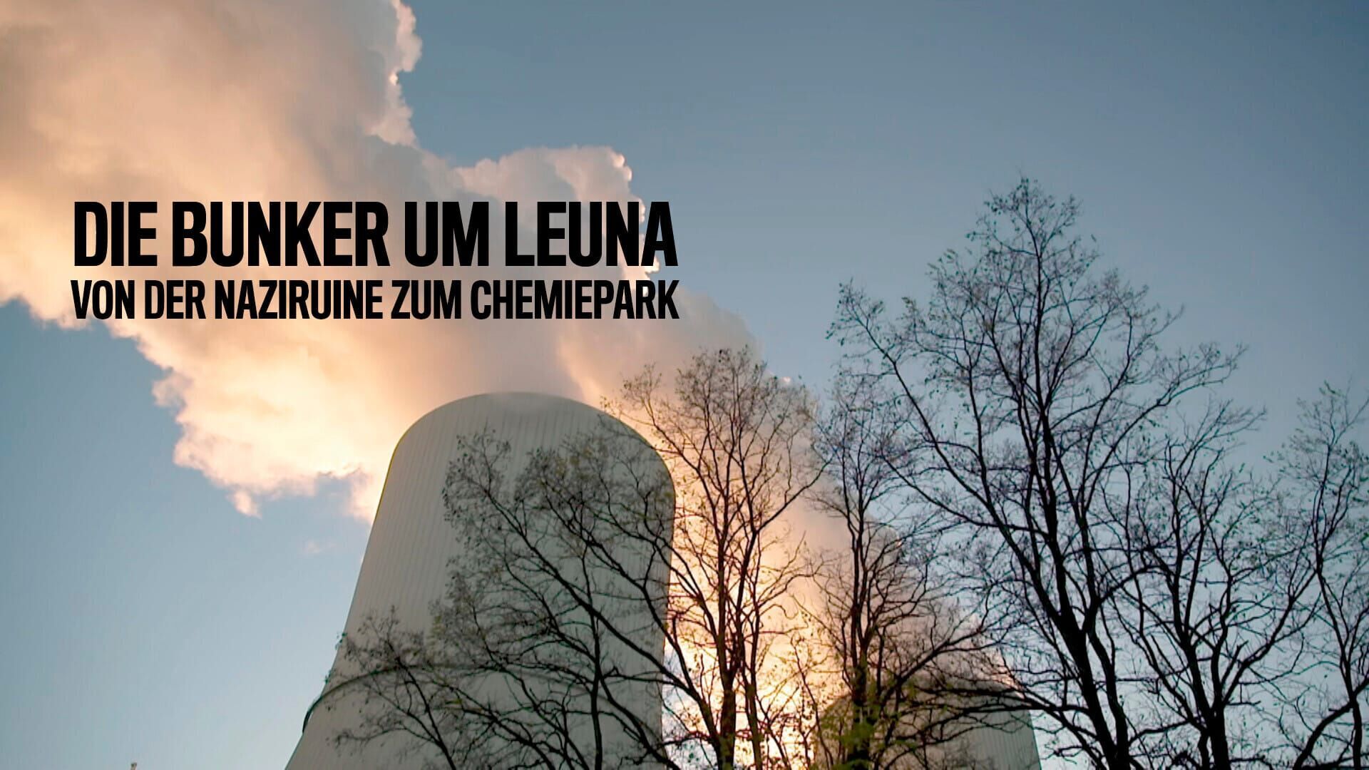 Die Bunker um Leuna – Von der Naziruine zum Chemiepark