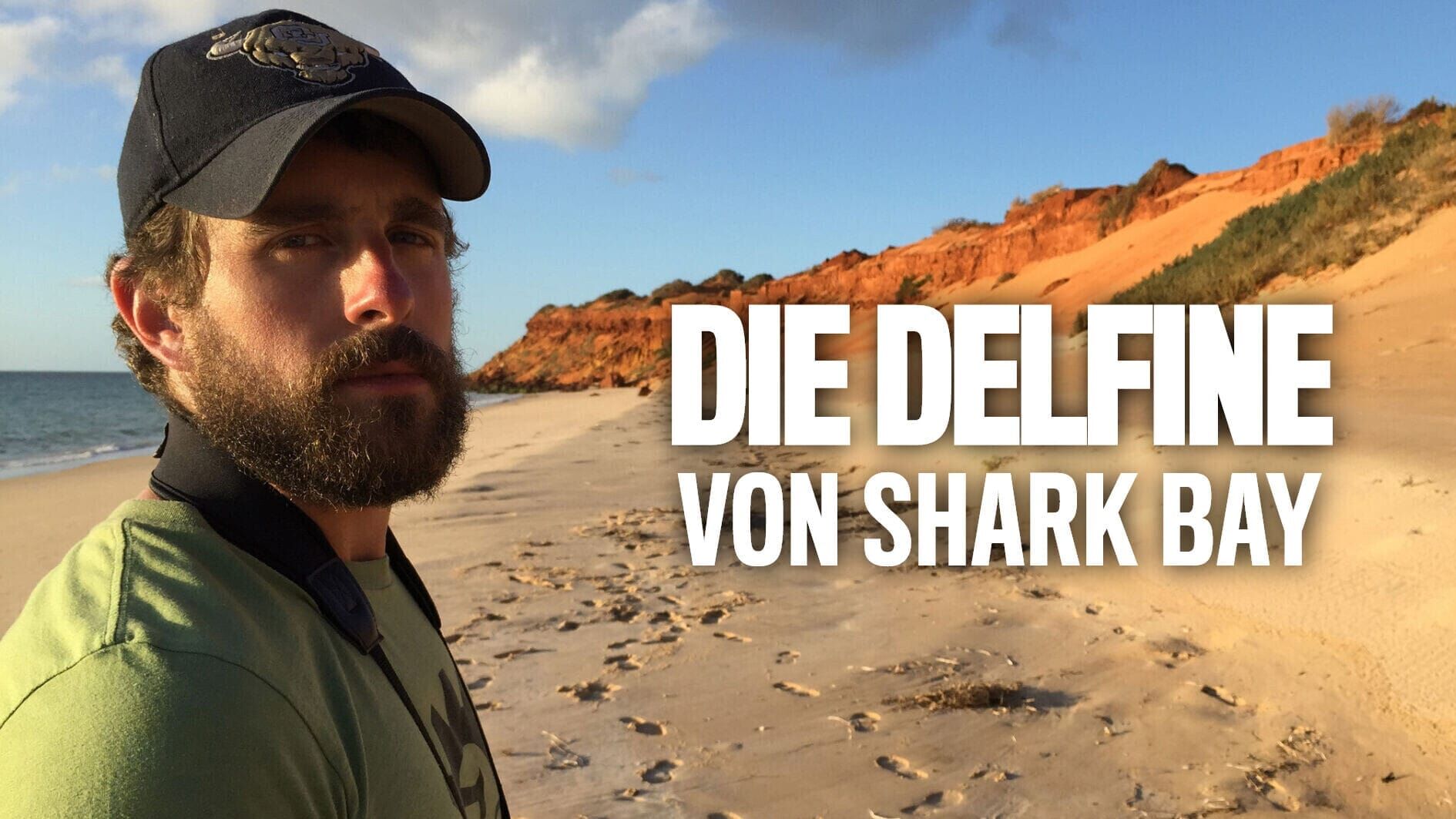 Die Delfine von Shark Bay