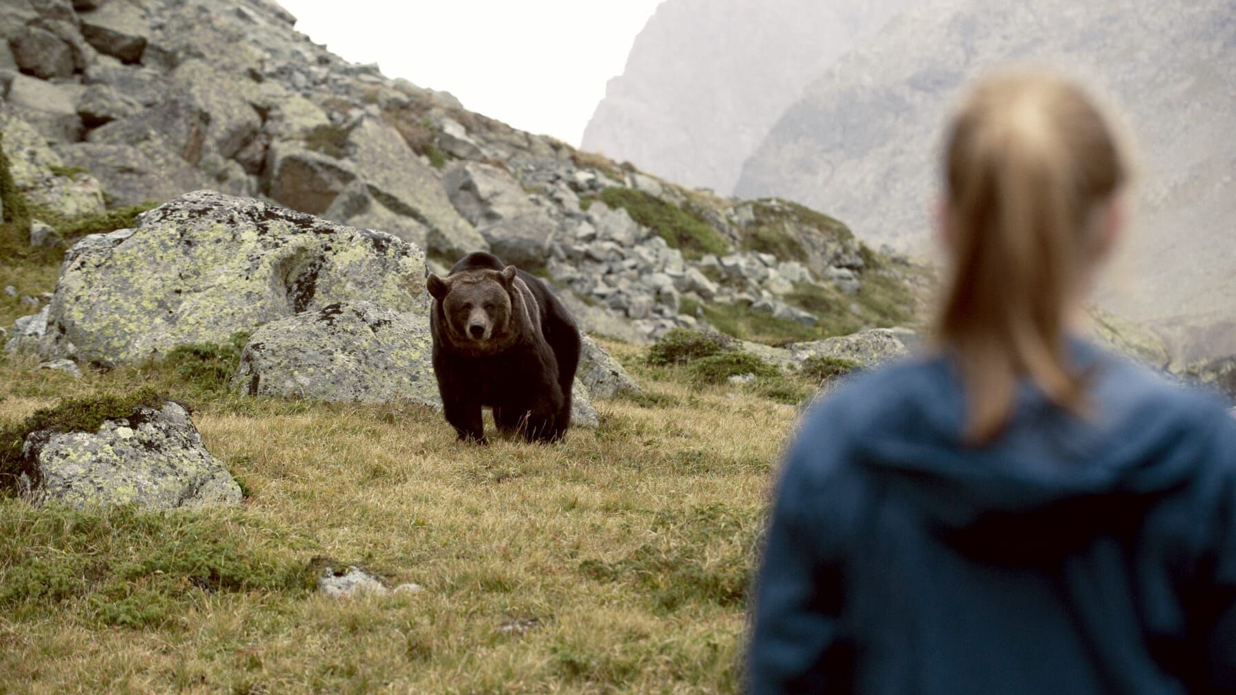 Clara und das Geheimnis der Bären