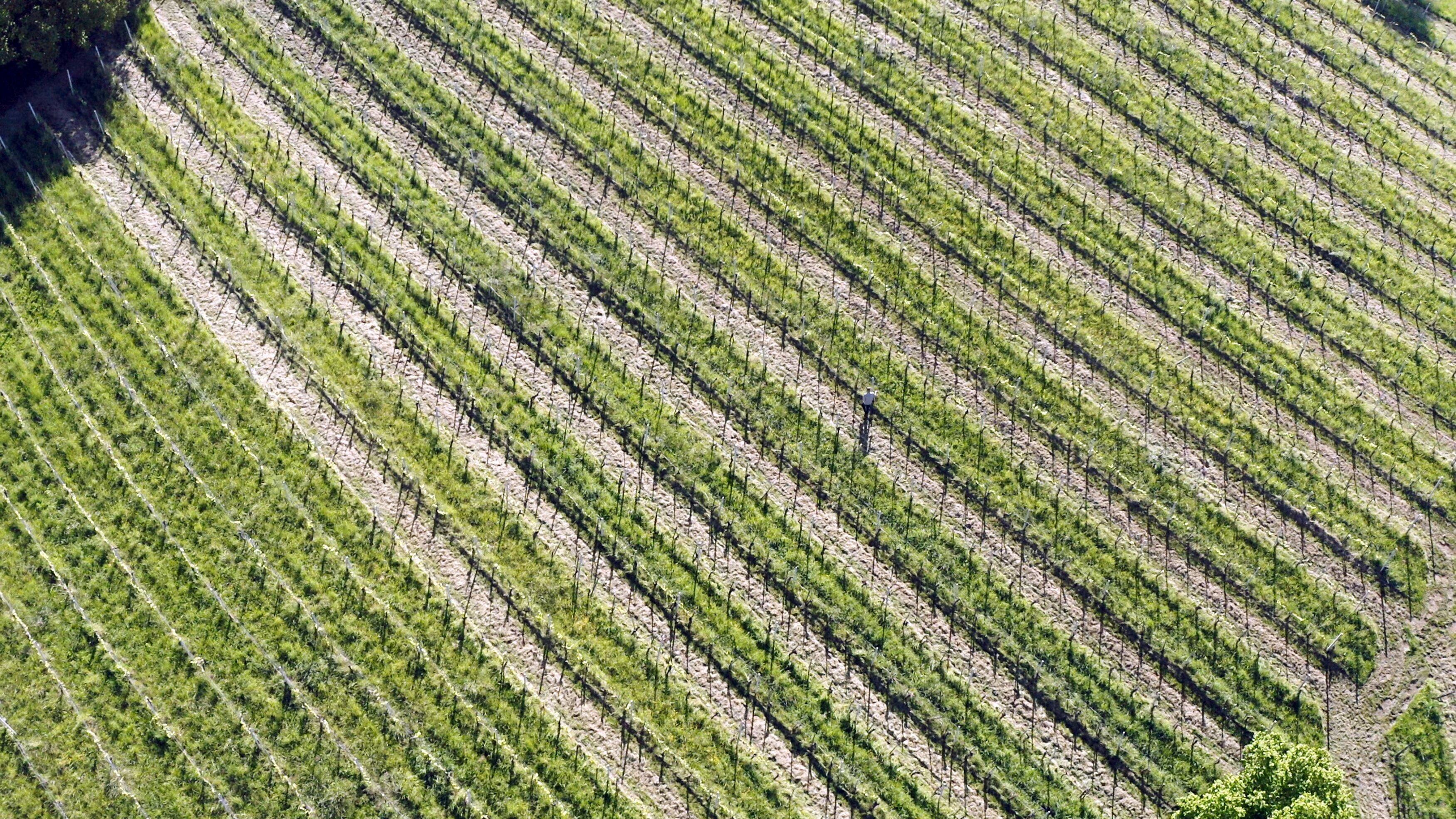Ein Stück Österreich – Die Südsteiermark im Jahresverlauf