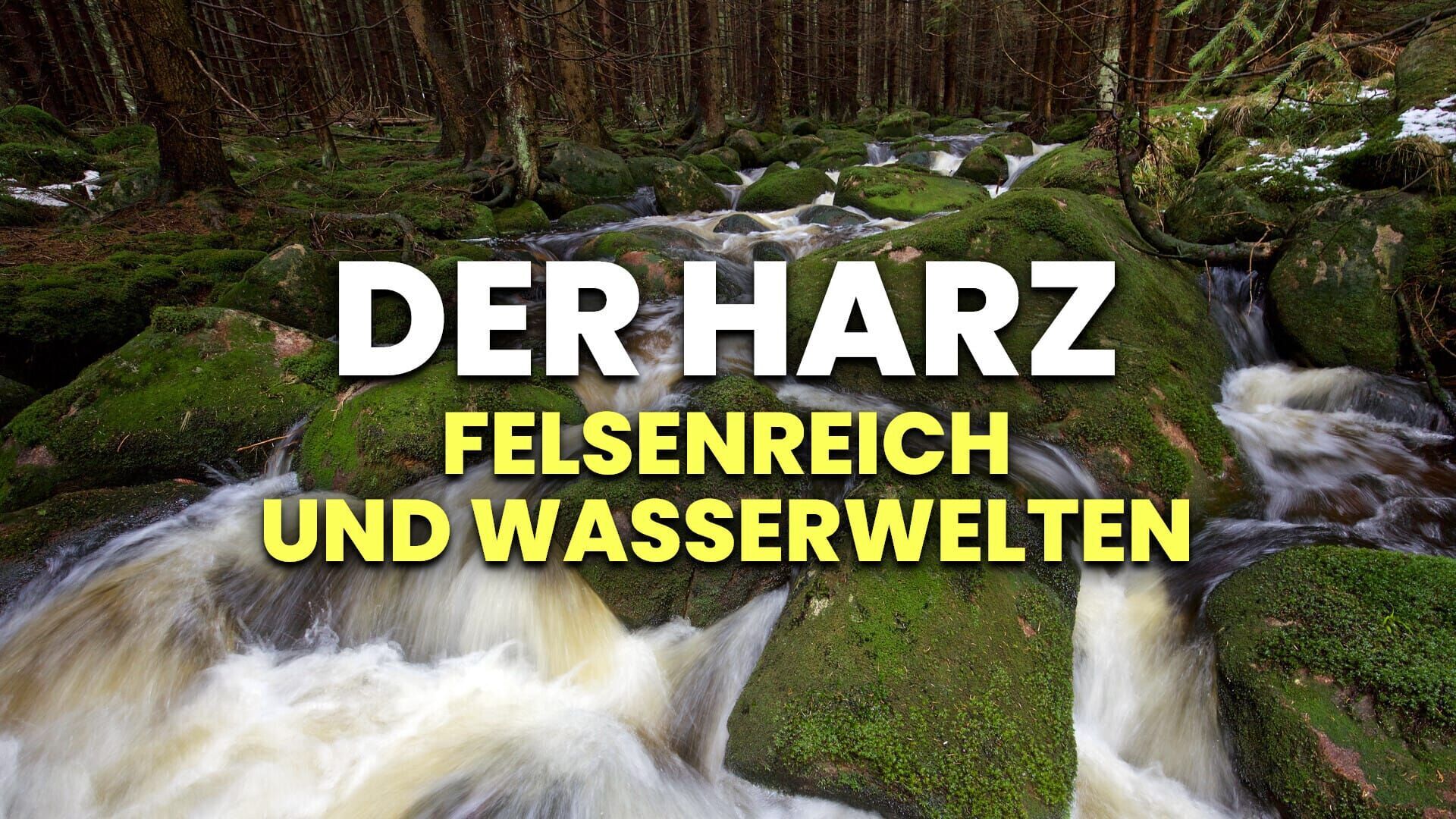 Wildes Deutschland – Der Harz