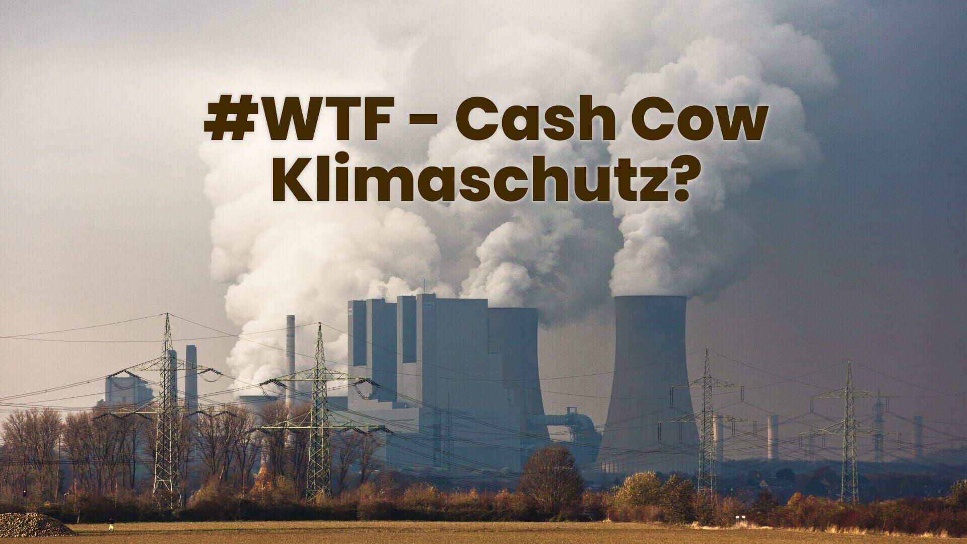 #WTF – Cash Cow Klimaschutz?