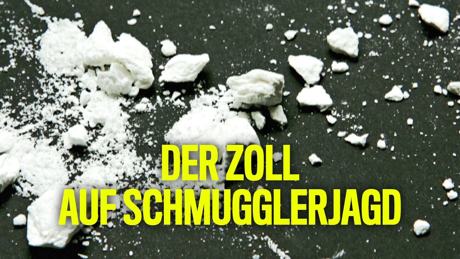 Der Zoll – Auf Schmugglerjagd (2)
