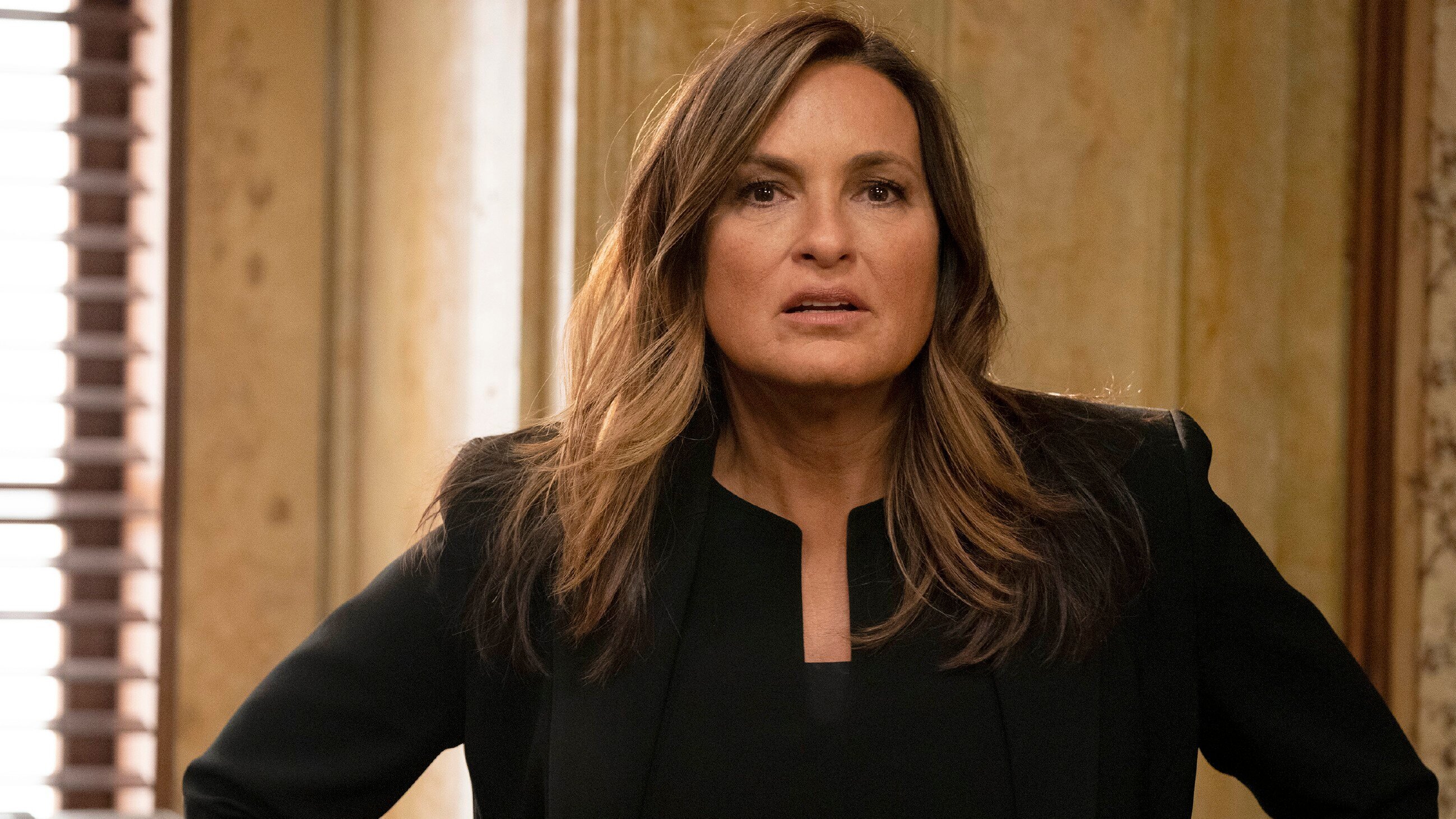 Law & Order: Special Victims Unit