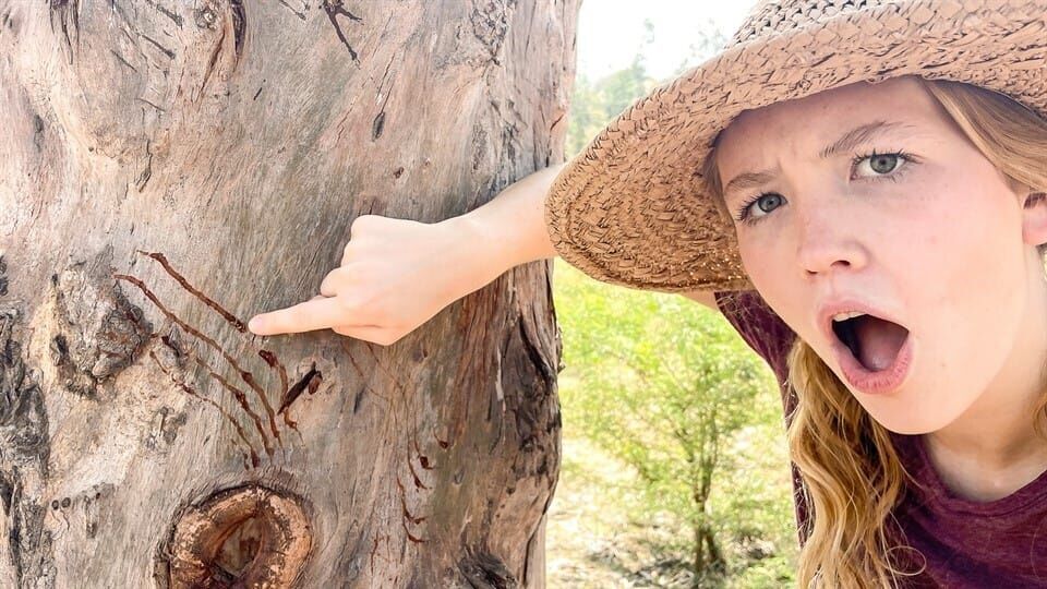 Nina und die wilden Tiere