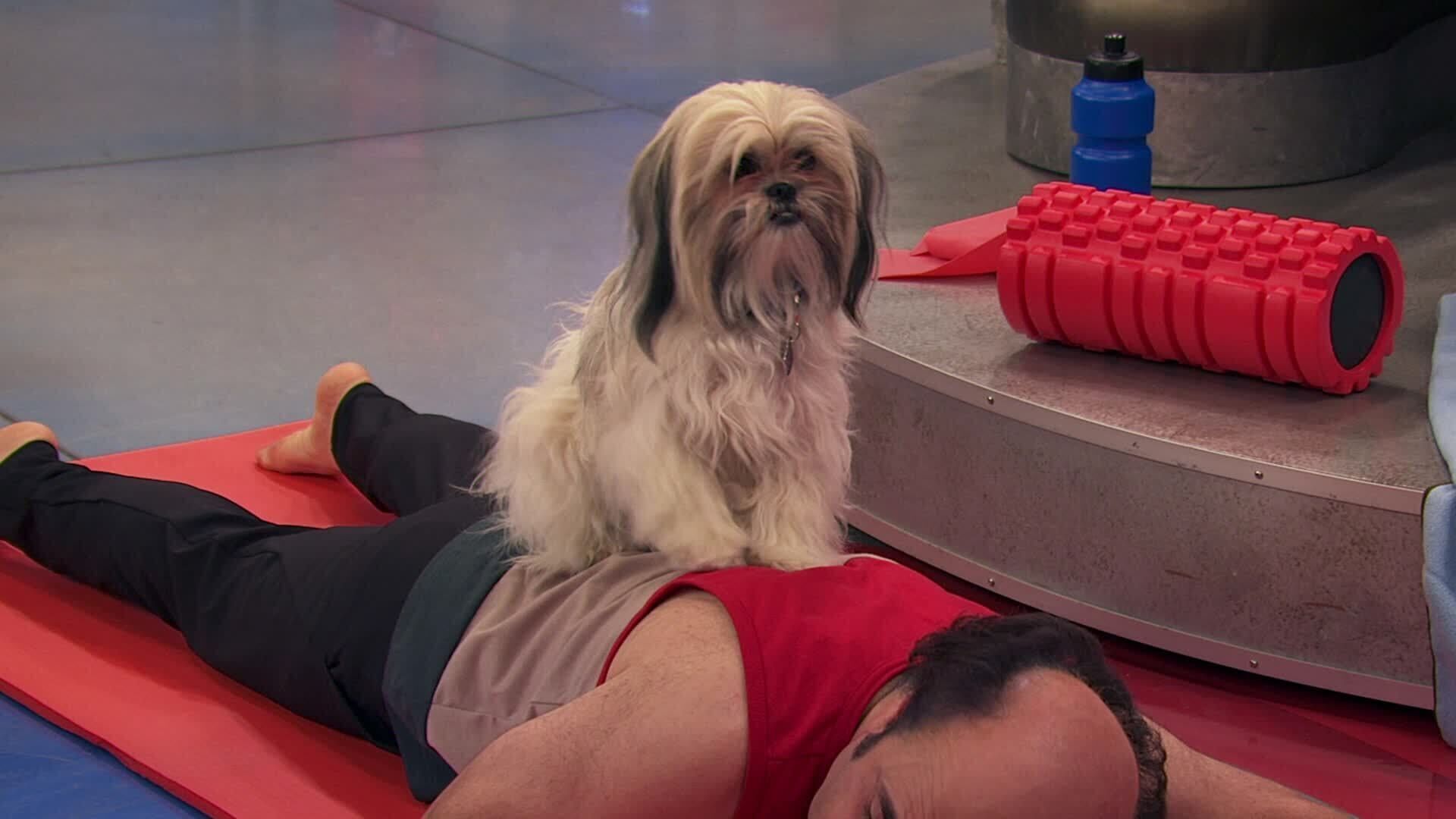 Henry Danger