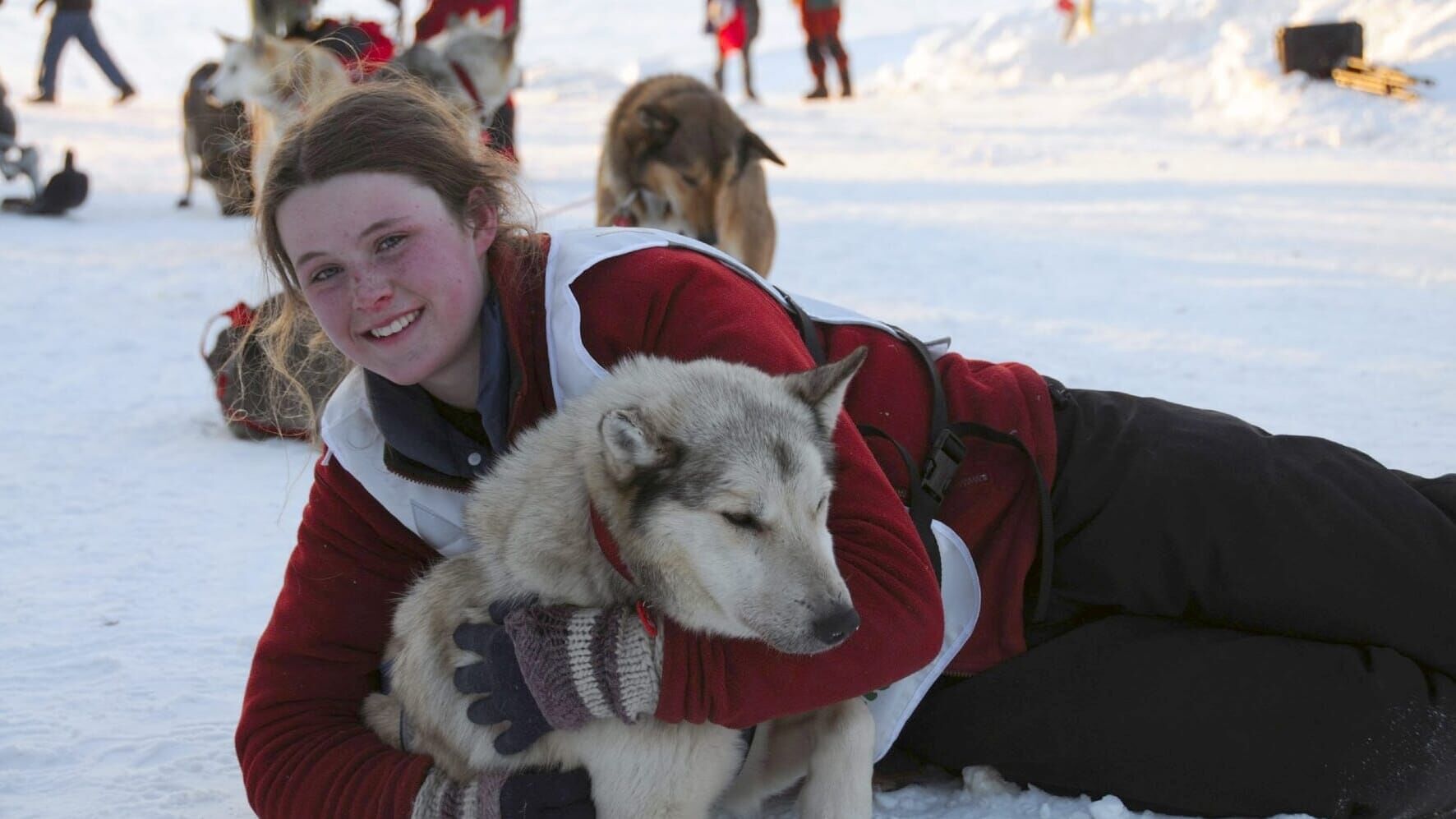 Die Husky-Familie