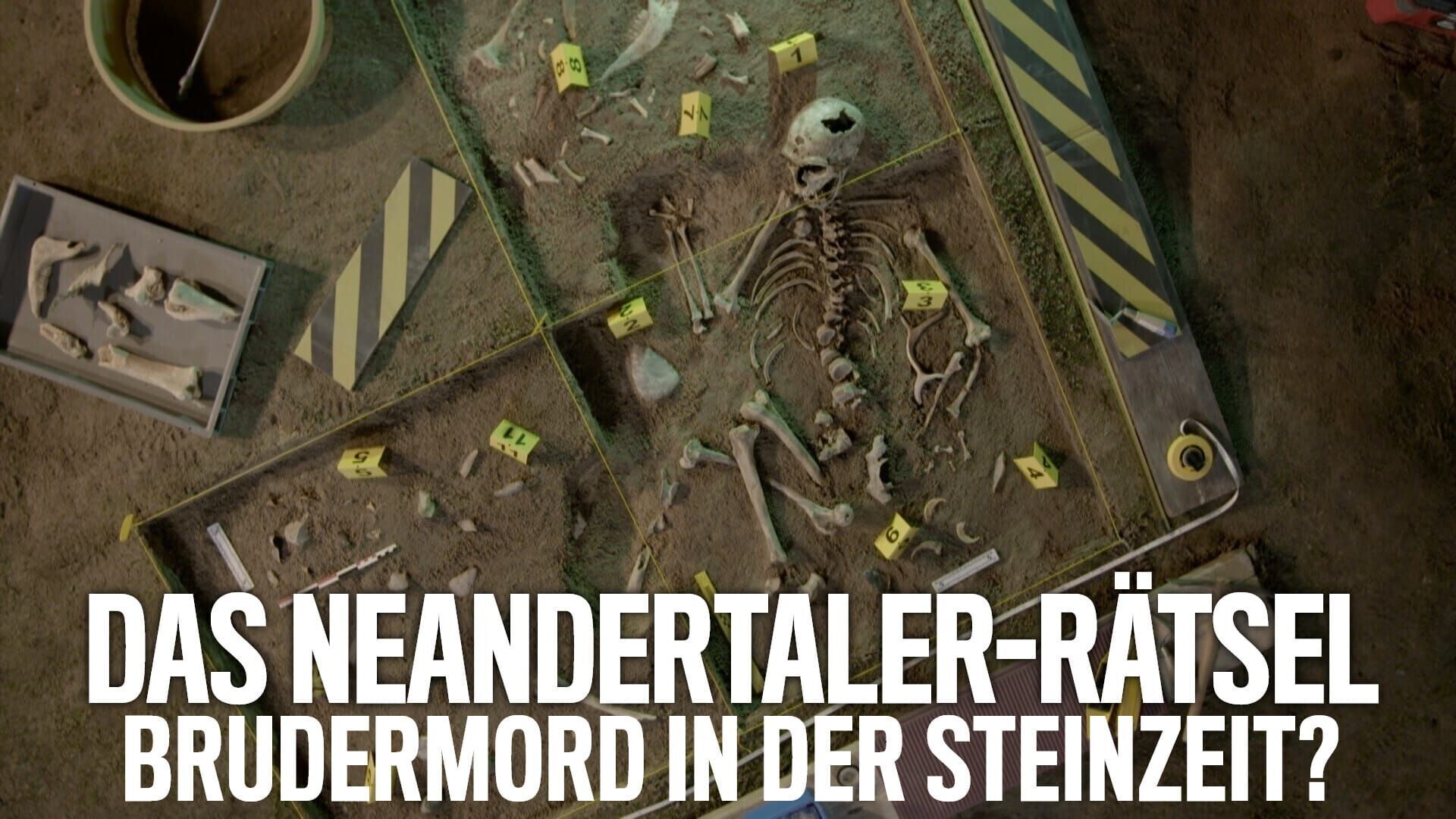 Das Neandertaler-Rätsel – Brudermord in der Steinzeit?