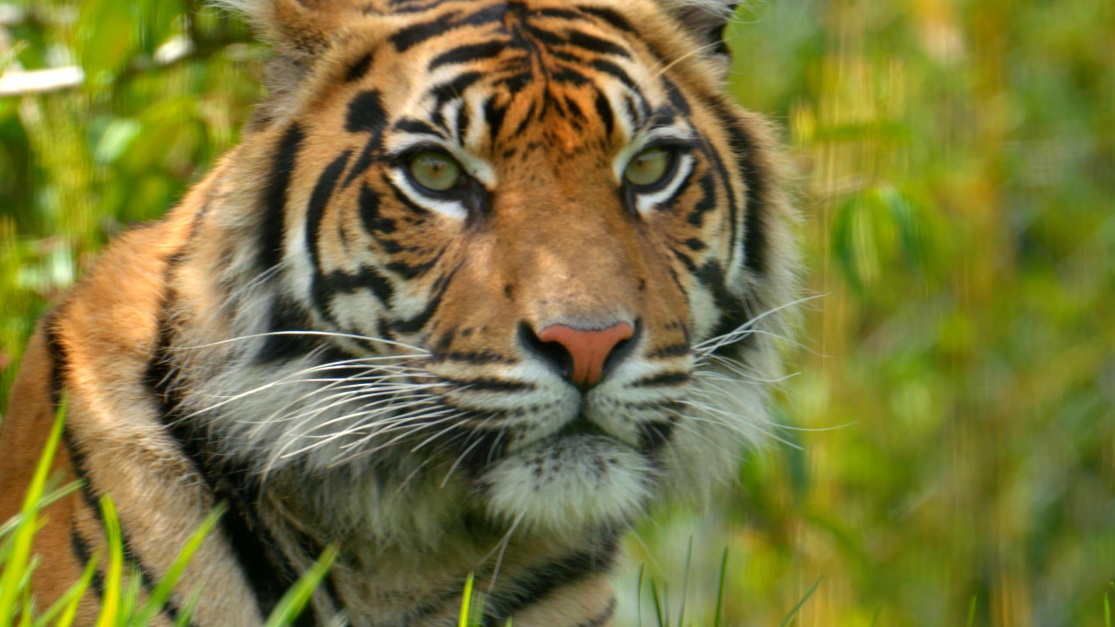 Zoo und so – Tierisch wild!