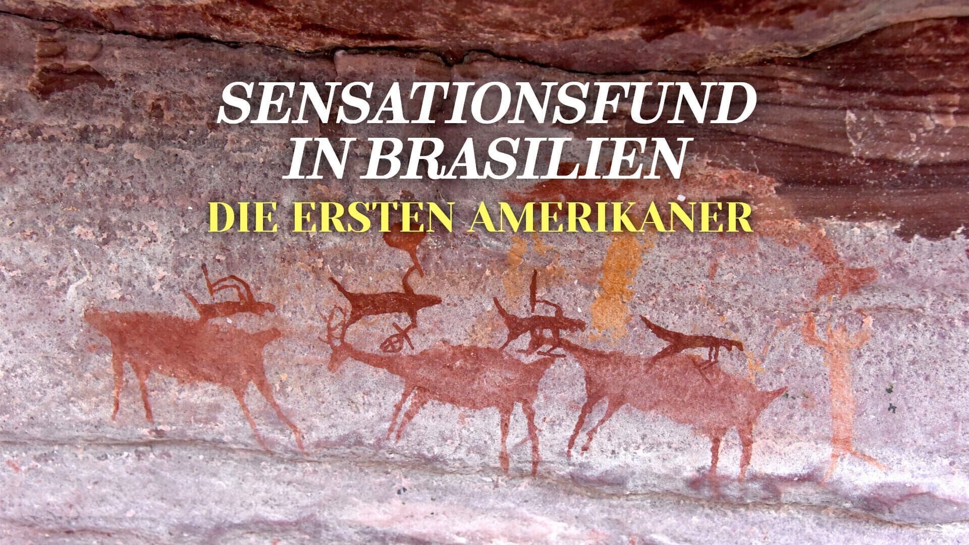 Sensationsfund in Brasilien