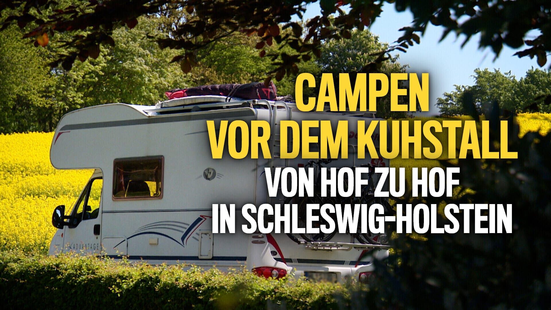 Campen vor dem Kuhstall