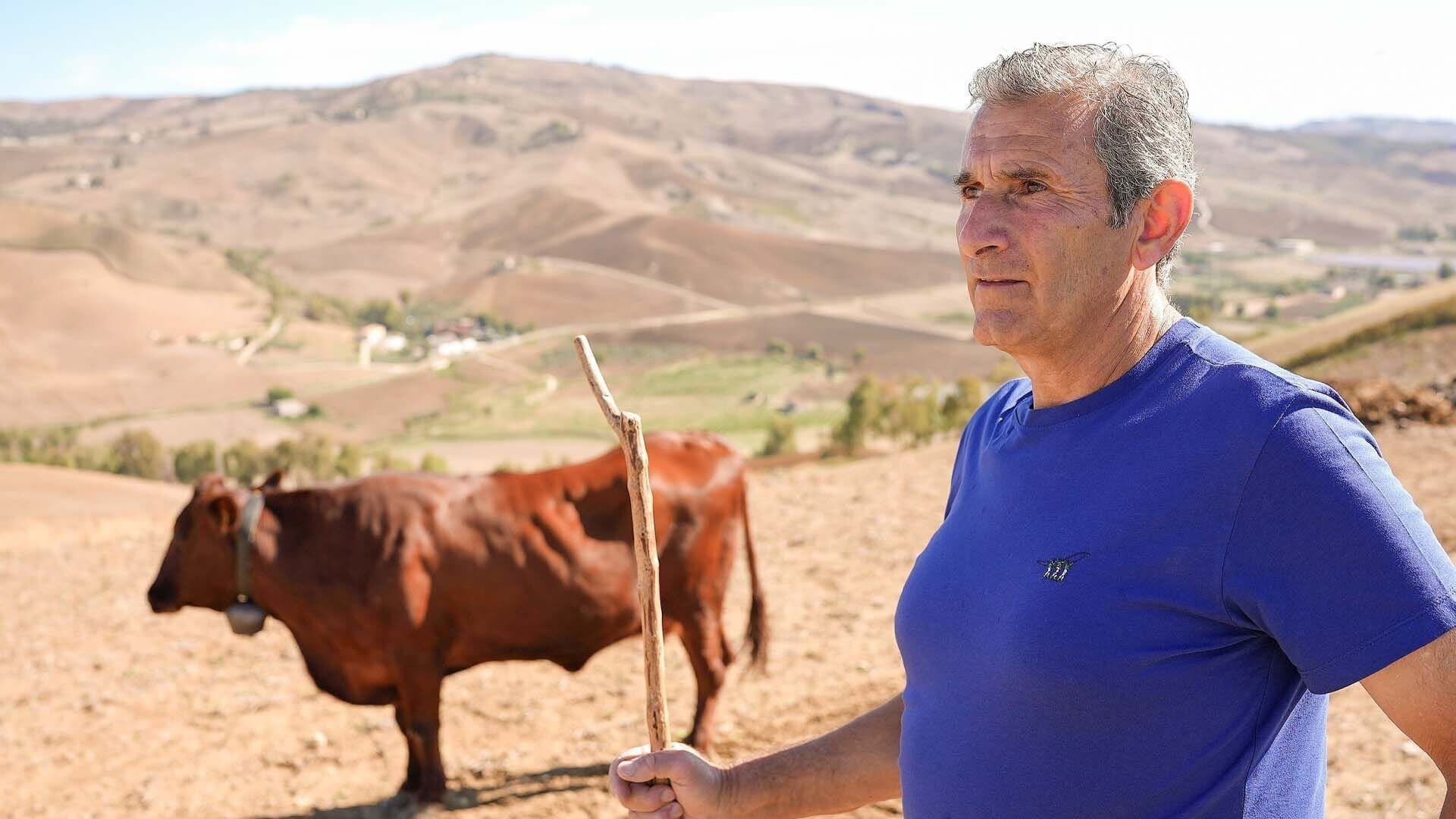 Re: Sizilien im Dürre-Stress