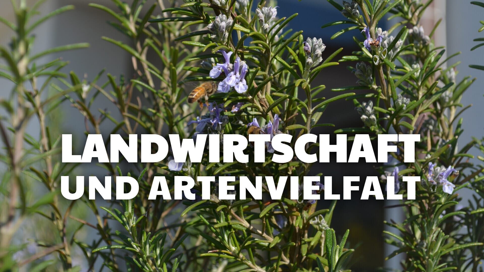 Landwirtschaft und Artenvielfalt