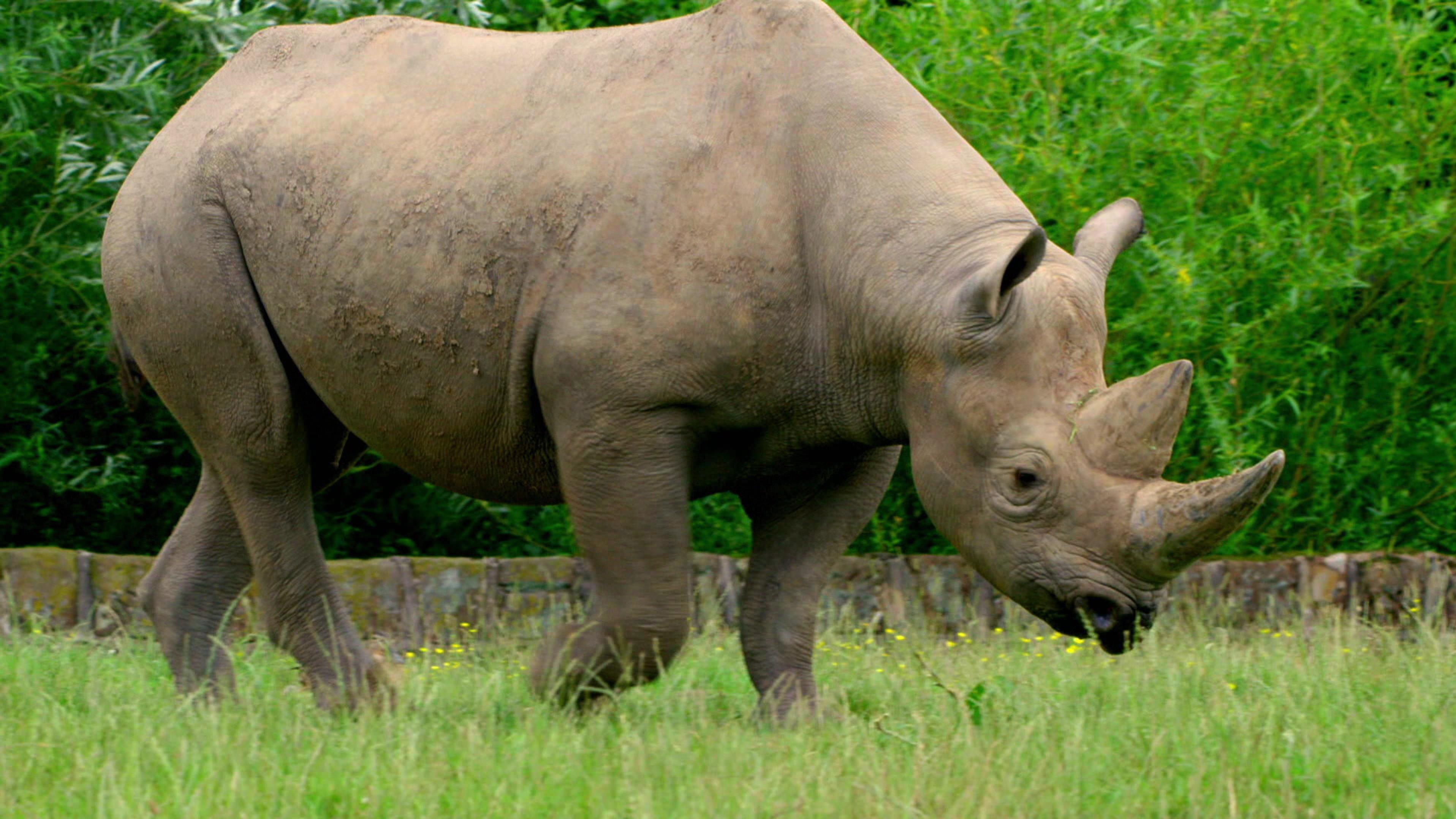 Zoo und so – Tierisch wild!