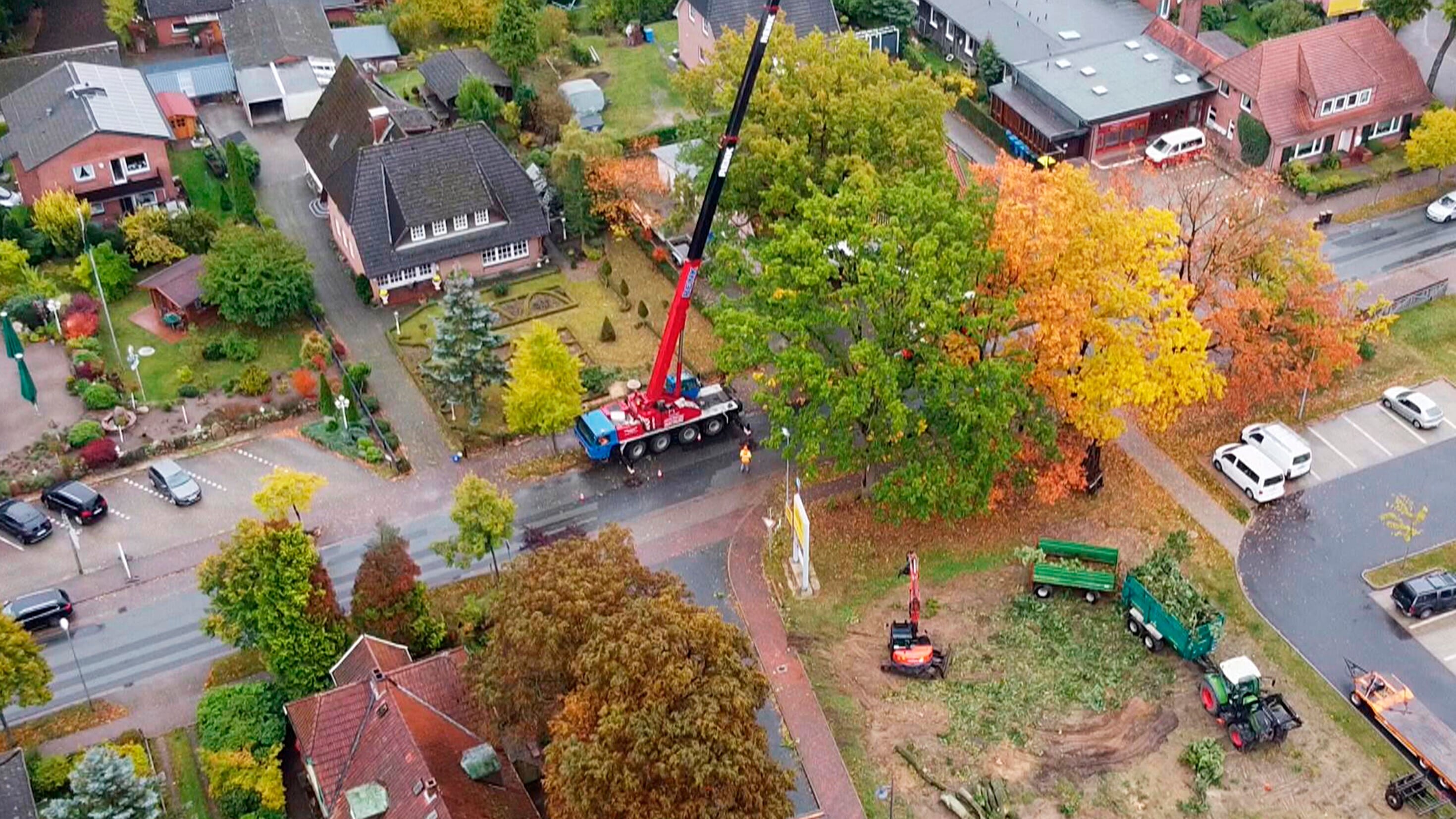 Herbststress für die Holzprofis