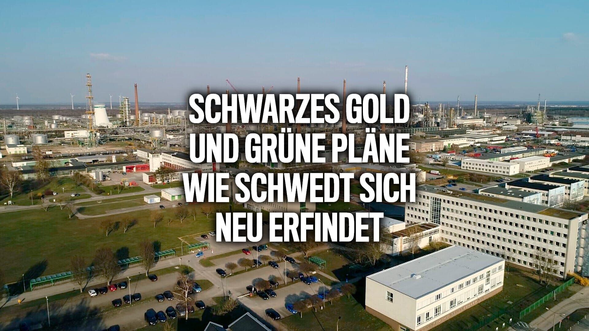 Schwarzes Gold und grüne Pläne