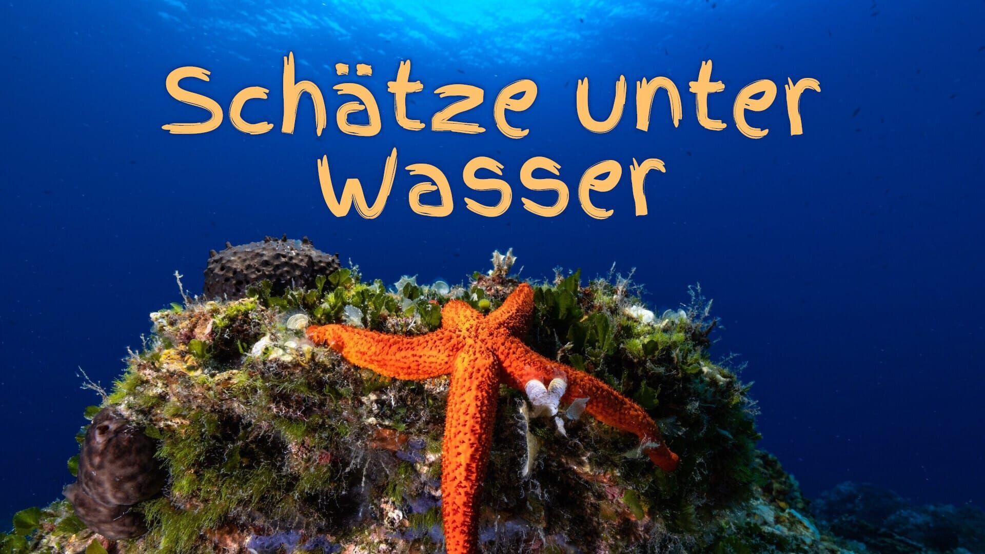 Schätze unter Wasser