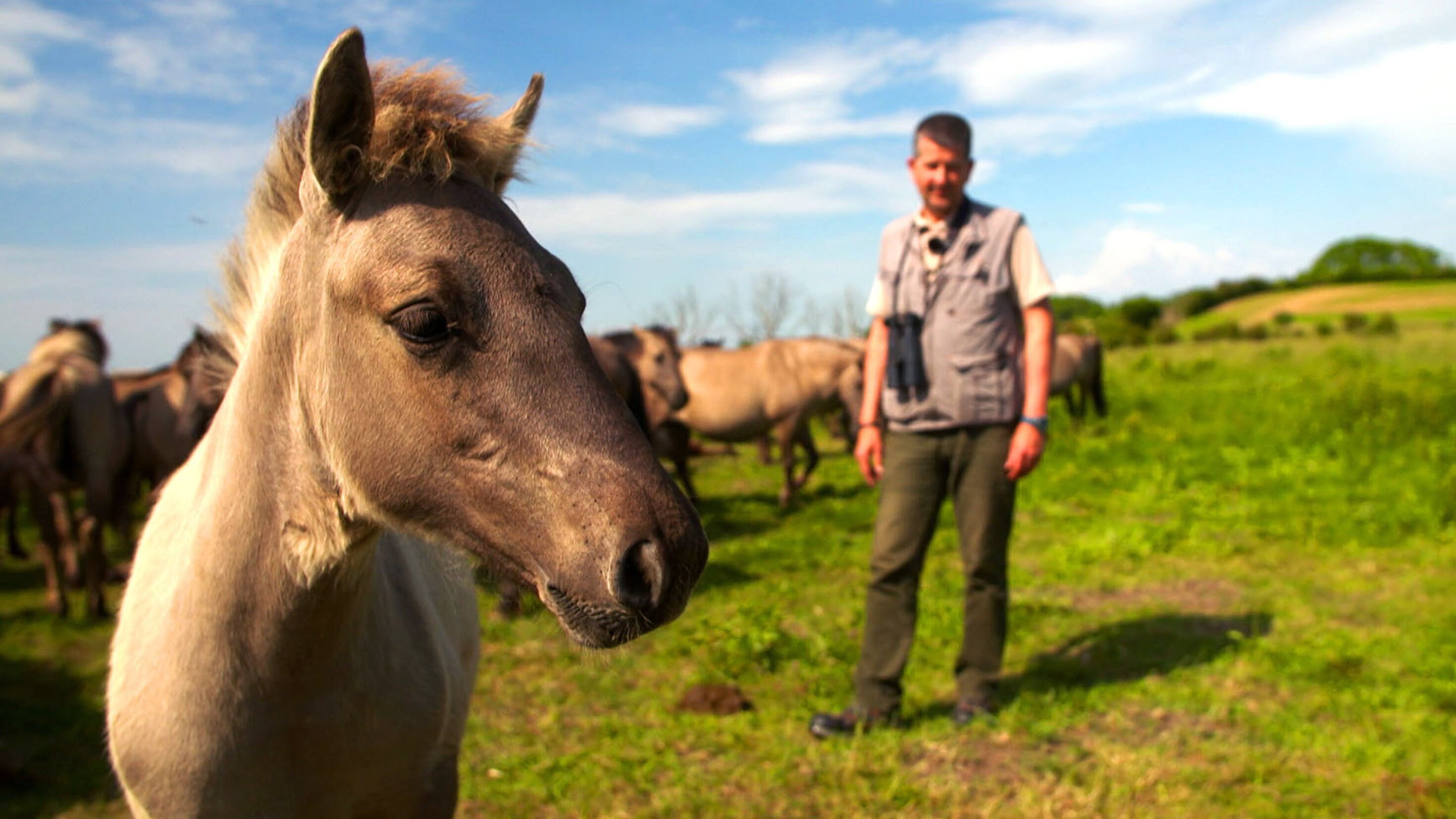 Landwirtschaft wie früher