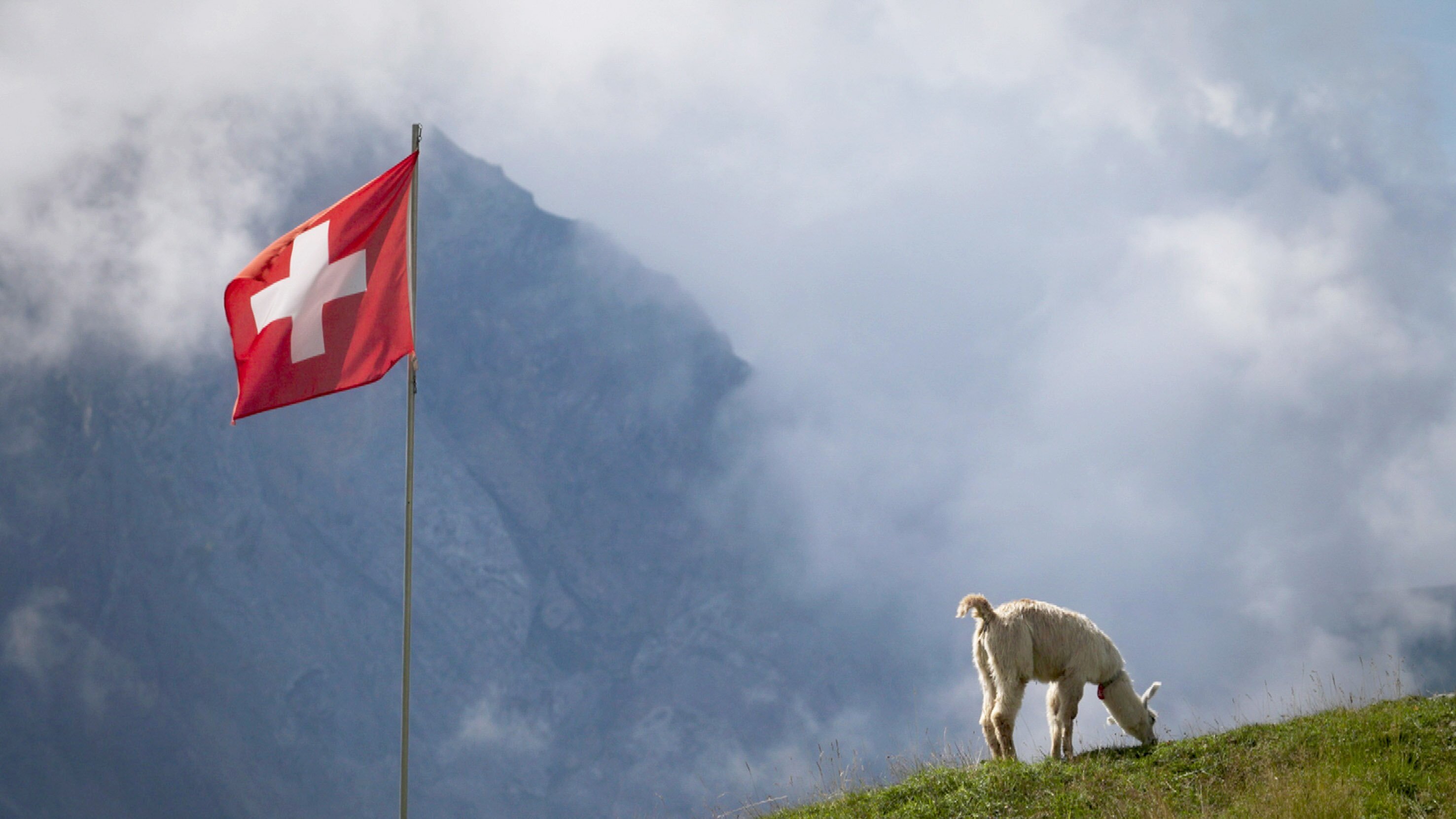 Das Berner Oberland