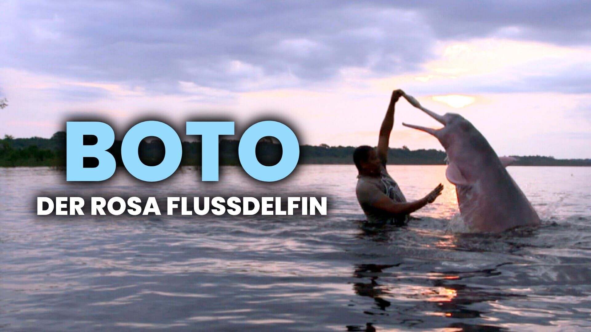 Boto, der rosa Flussdelfin