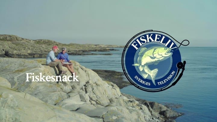 Fiskesnak