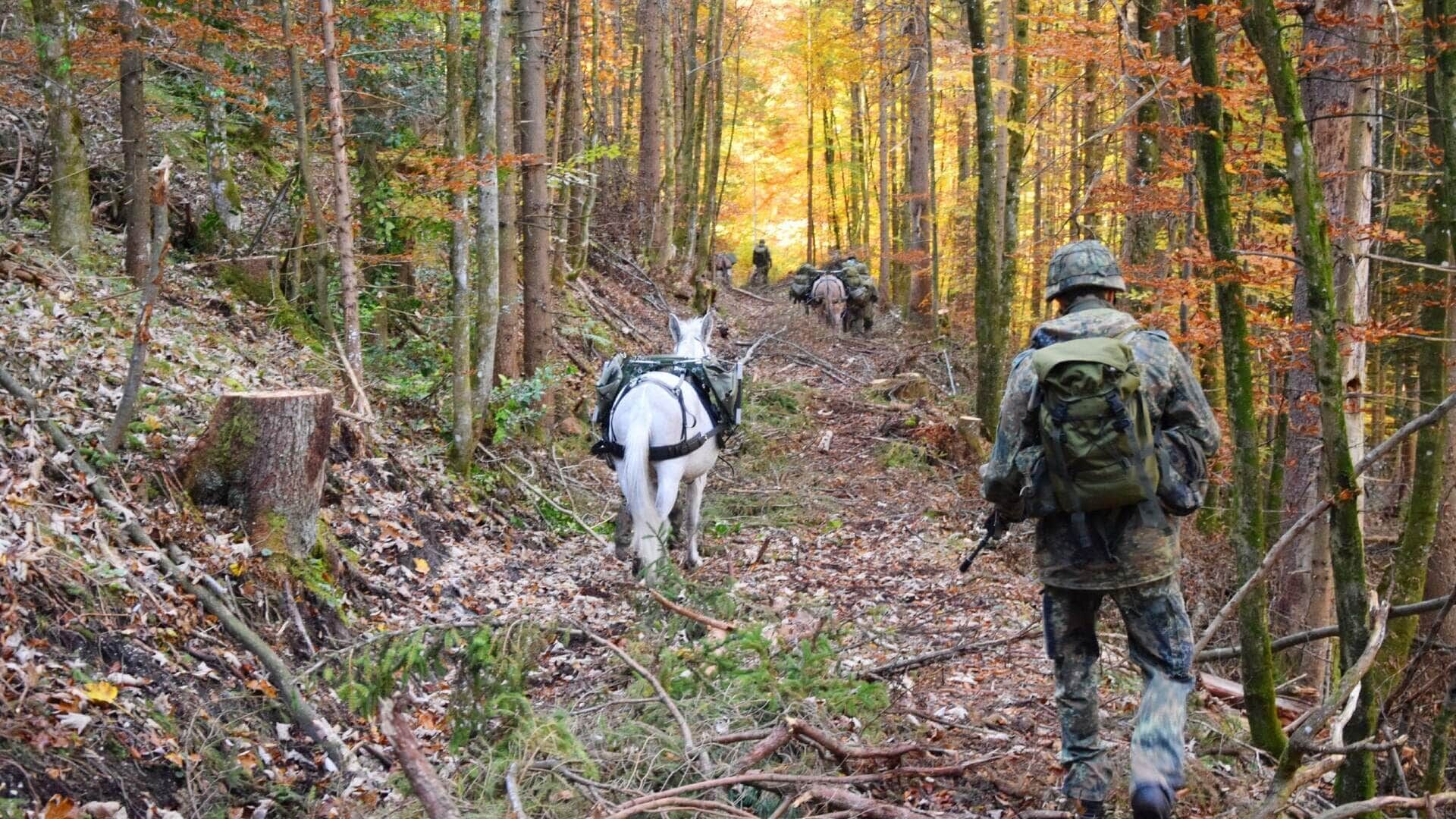 Tierische Kameraden – Die Vierbeiner der Bundeswehr