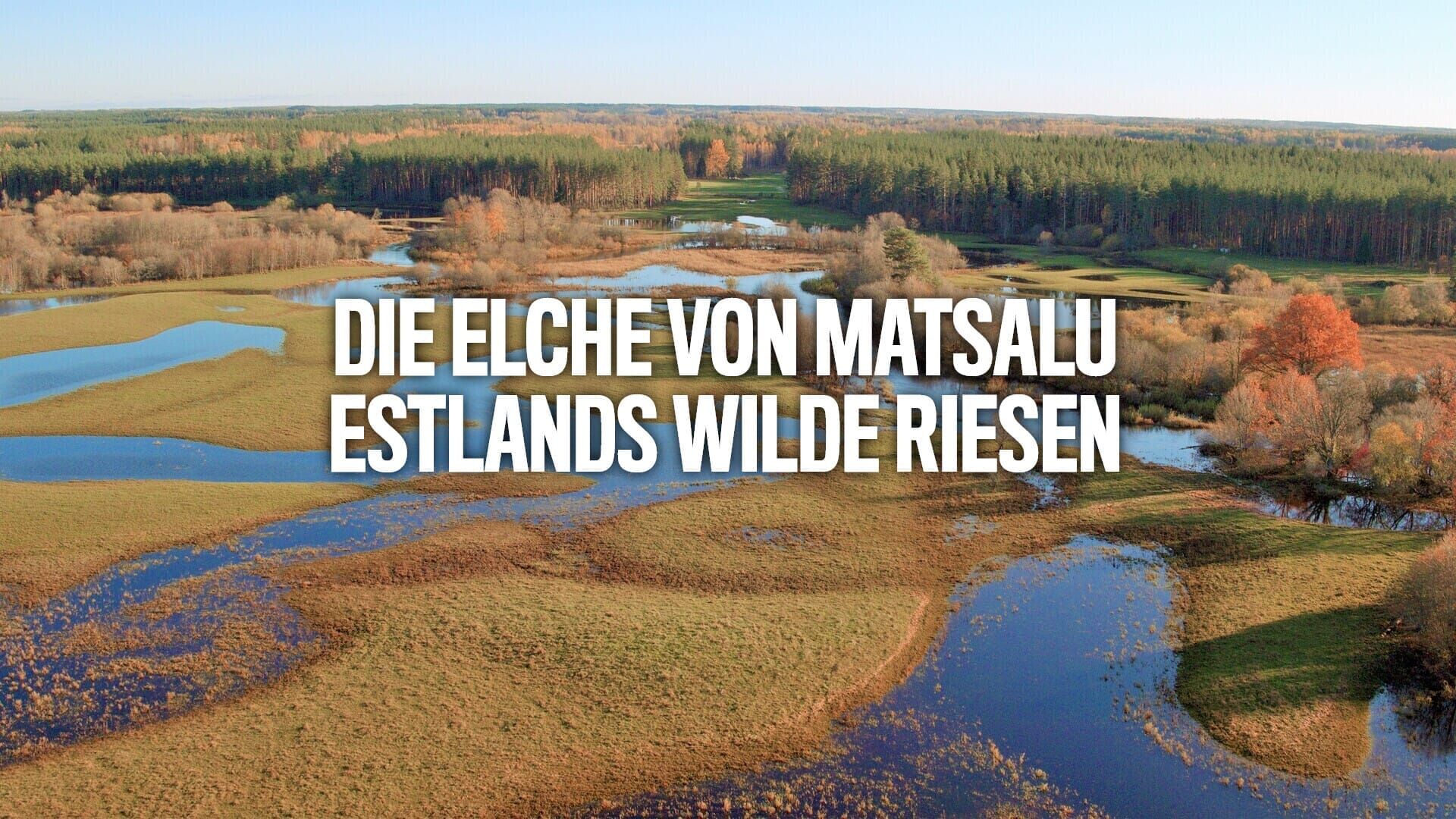 Die Elche von Matsalu – Estlands wilde Riesen