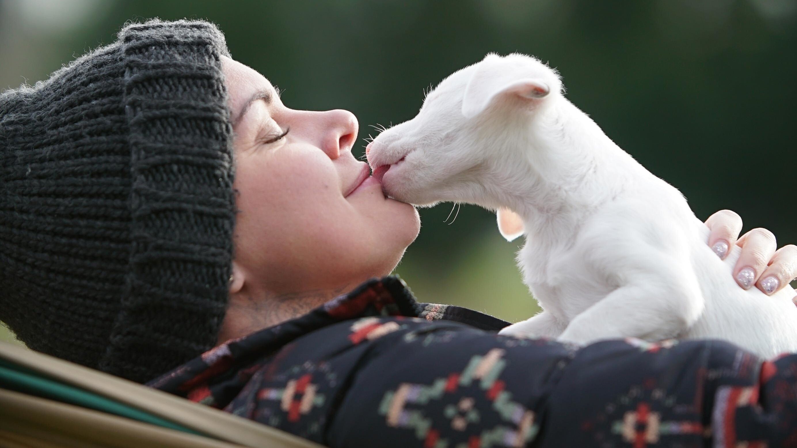 Amanda – Ein Herz für Hunde