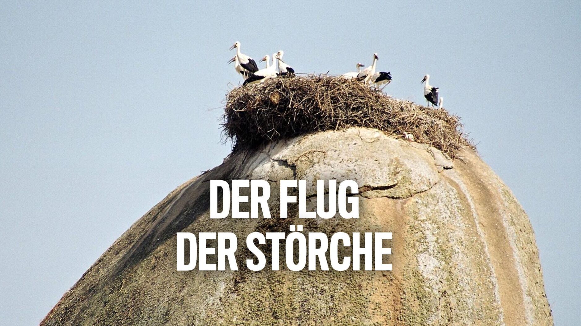 Der Flug der Störche