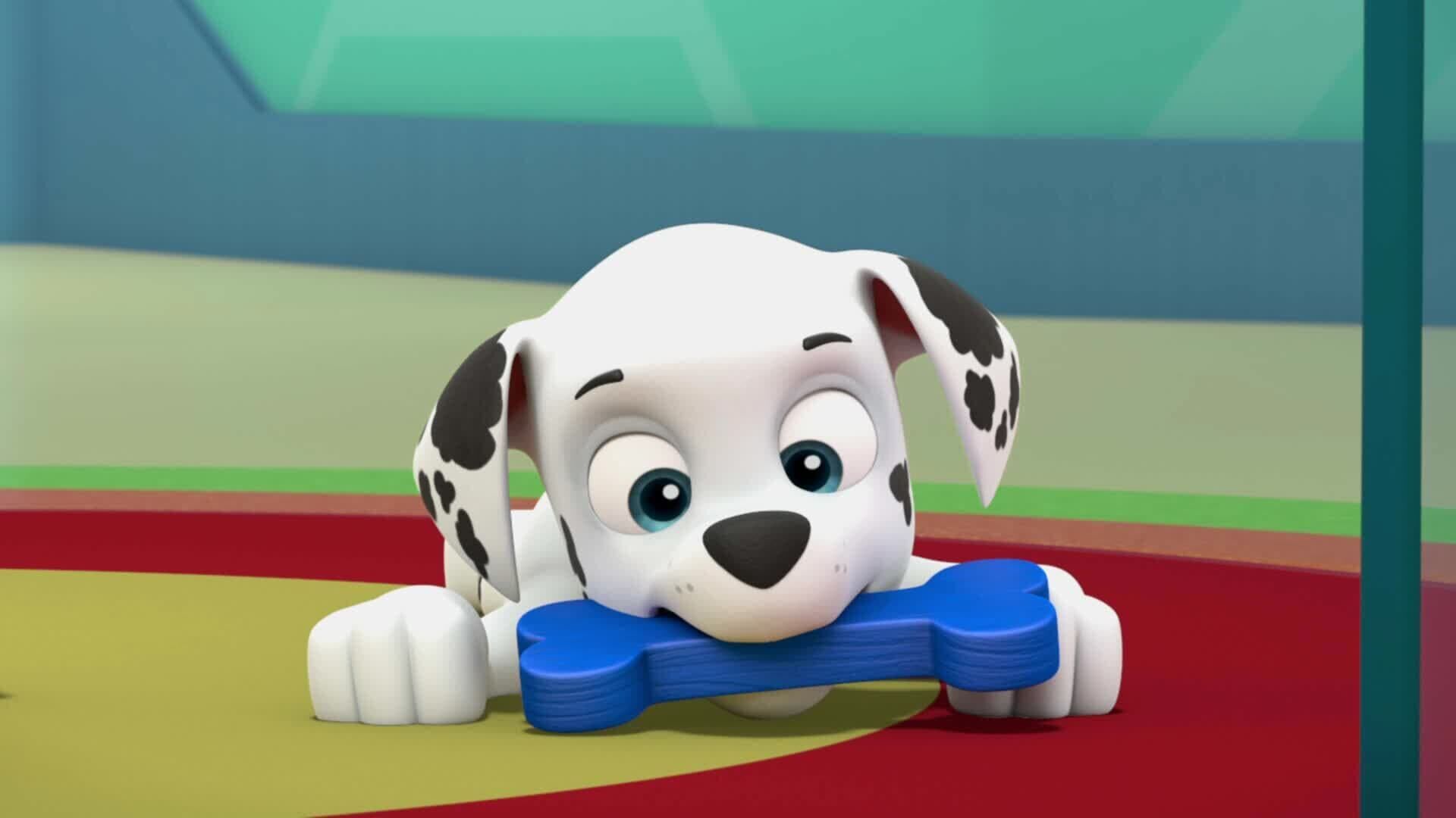 Paw Patrol – Helfer auf vier Pfoten