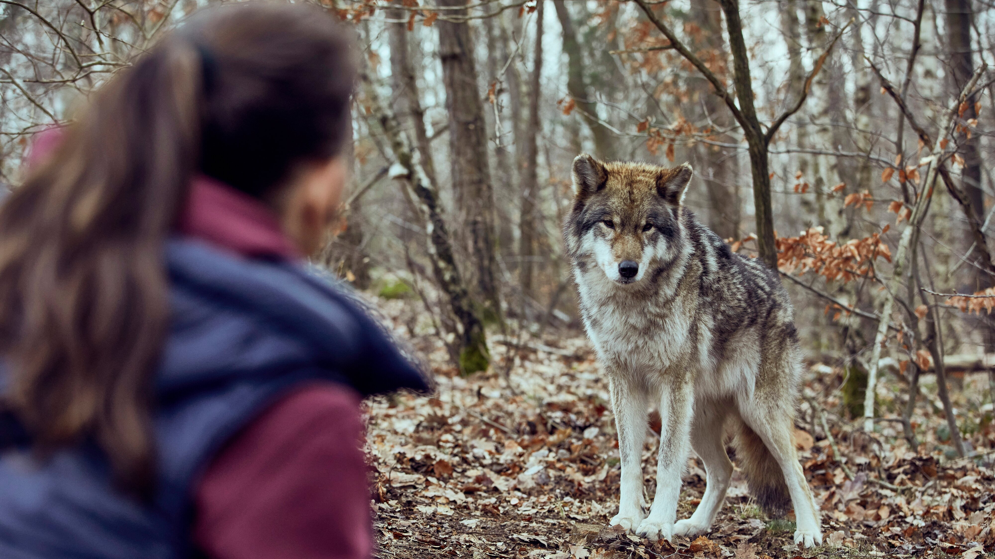 Wolfsland – Schwarzer Spiegel