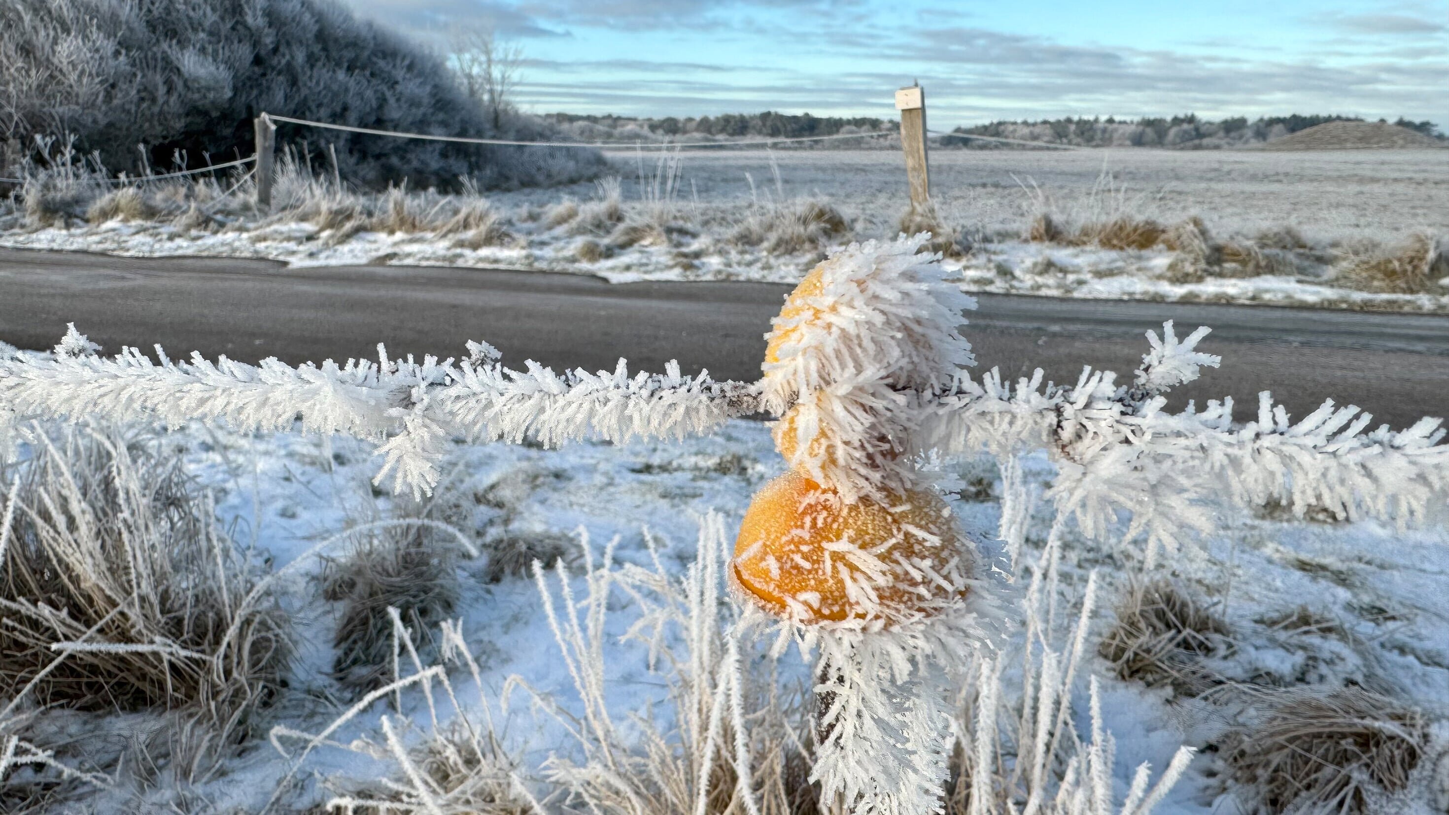 Sylt im Winter – Auszeit vom Saisontrubel