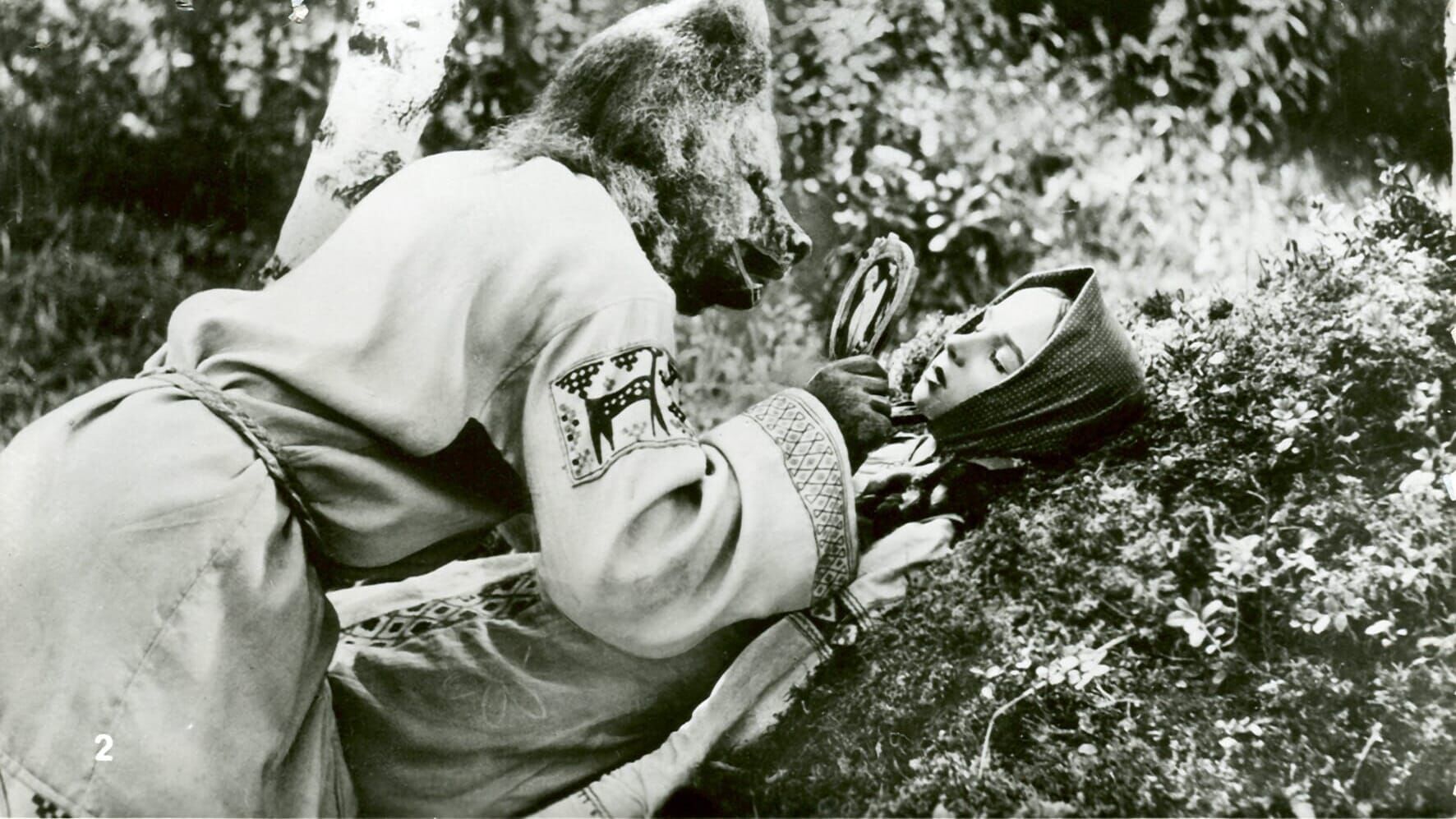 Abenteuer im Zauberwald