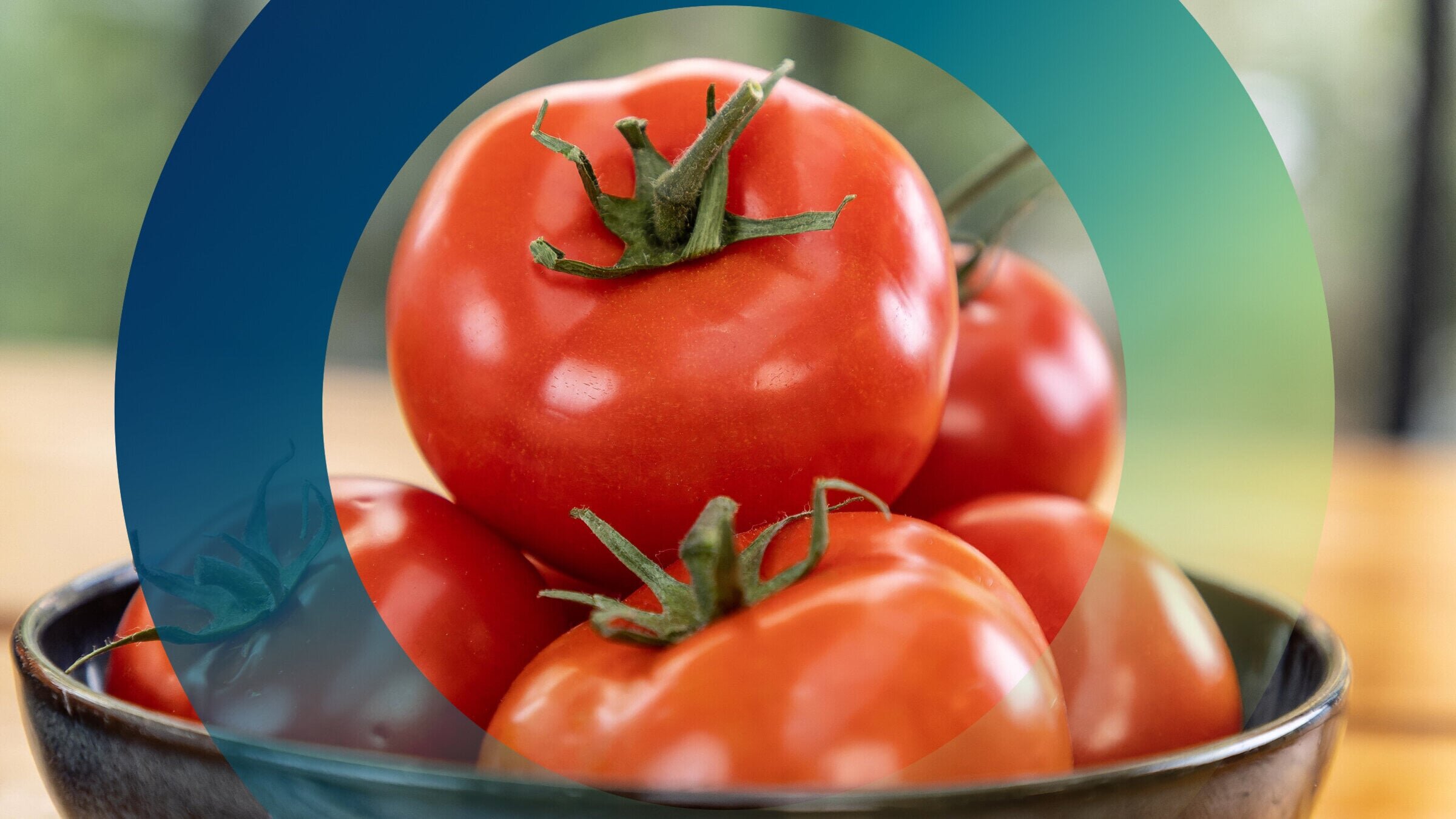 planet e.: Genuss mit Beigeschmack – Tomaten