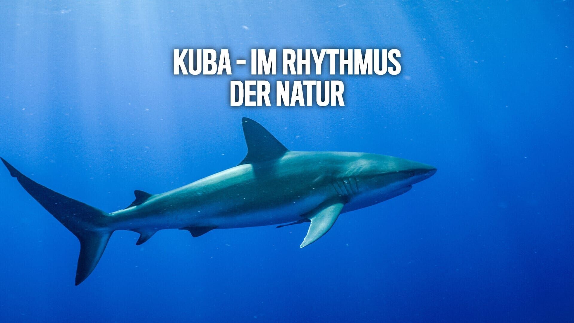 Kuba – Im Rhythmus der Natur