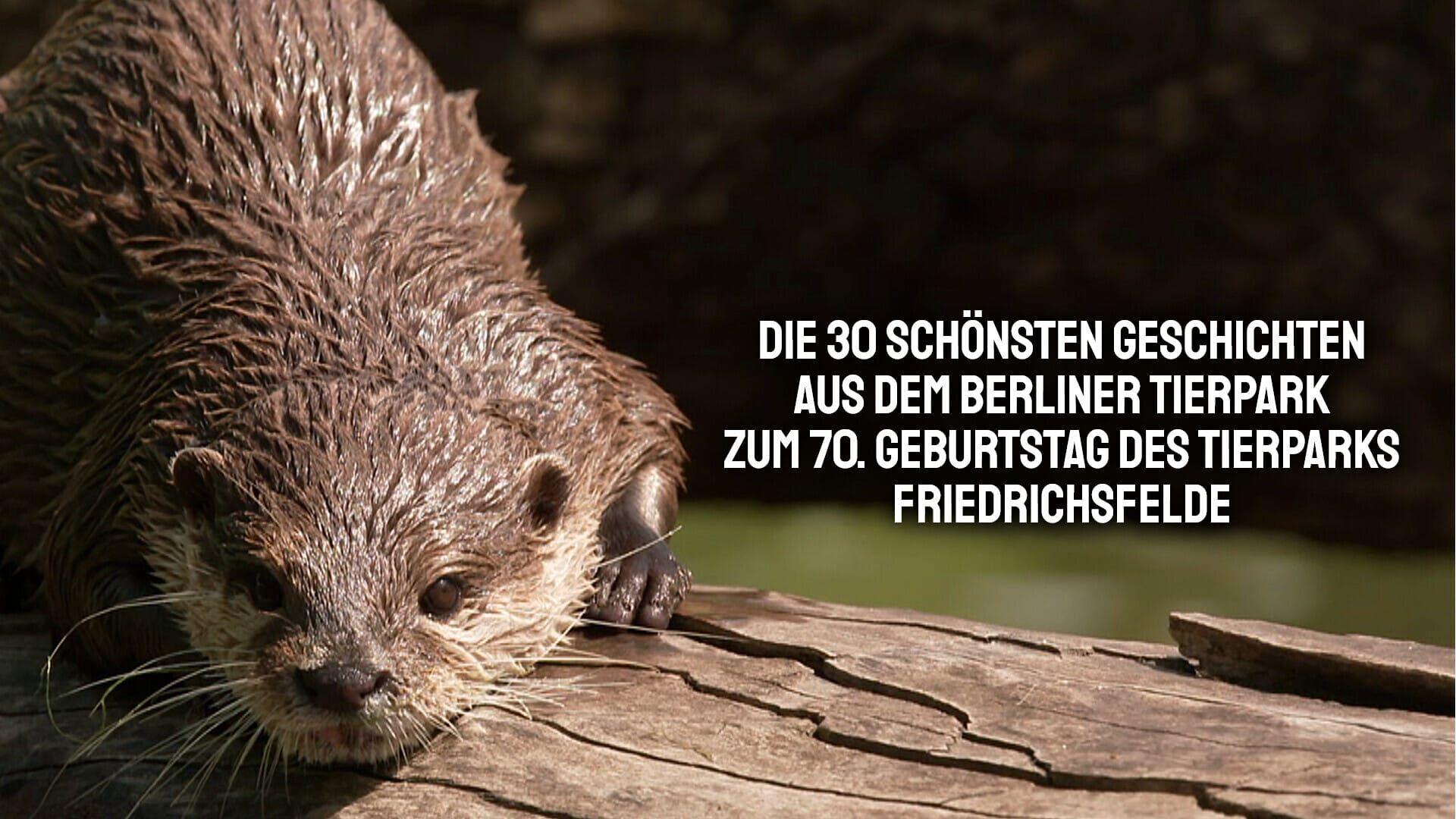 Die 30 schönsten Geschichten aus dem Berliner Tierpark
