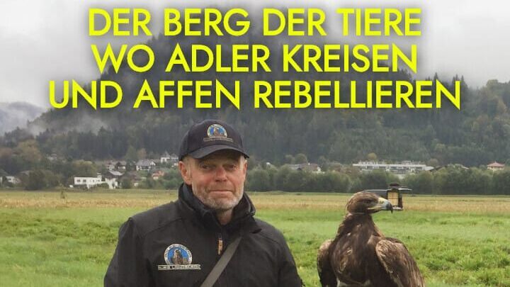 Der Berg der Tiere – Wo Adler kreisen und Affen rebellieren