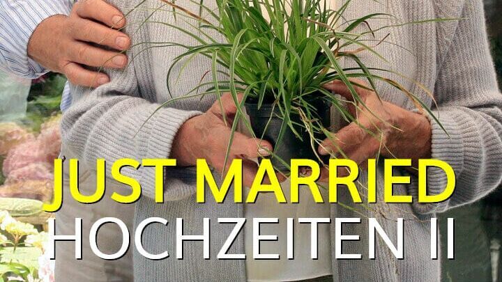 Just Married Hochzeiten zwei